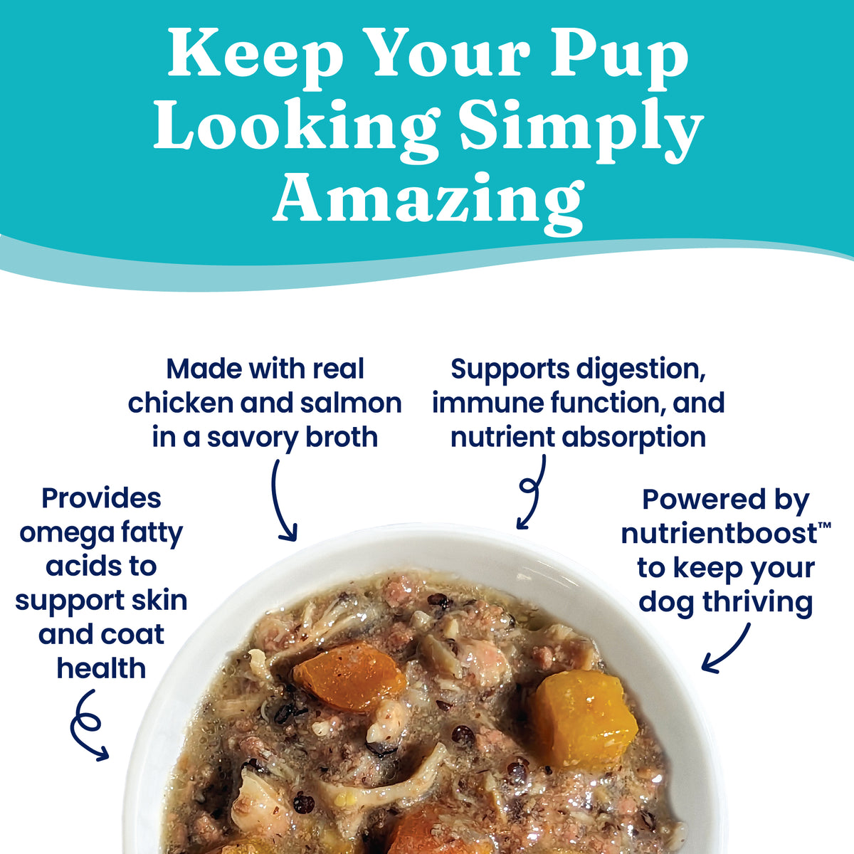 Wet dog food in a bowl featuring chunks of chicken, salmon, and vegetables in a savory broth.