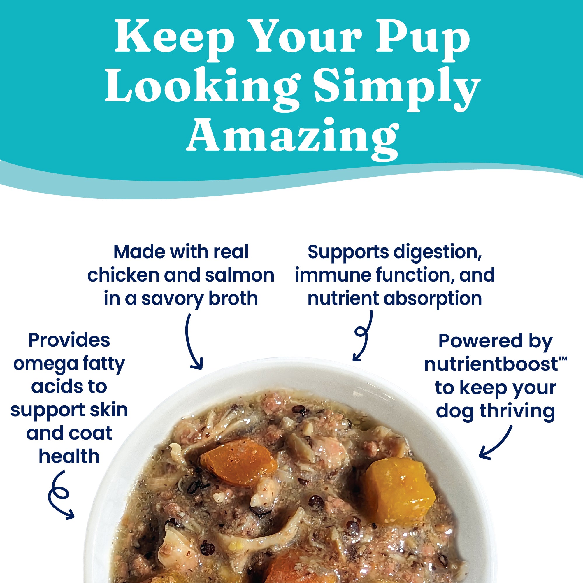 Wet dog food in a bowl featuring chunks of chicken, salmon, and vegetables in a savory broth.