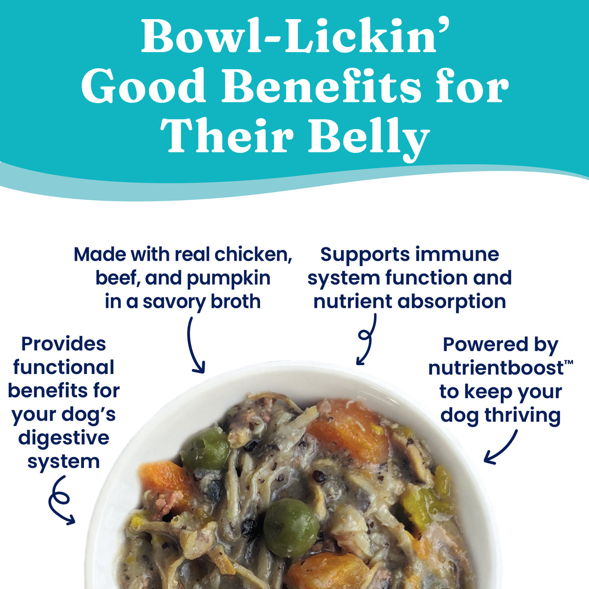 Wet dog food in a bowl featuring chicken, beef, pumpkin, and vegetables in a savory broth.