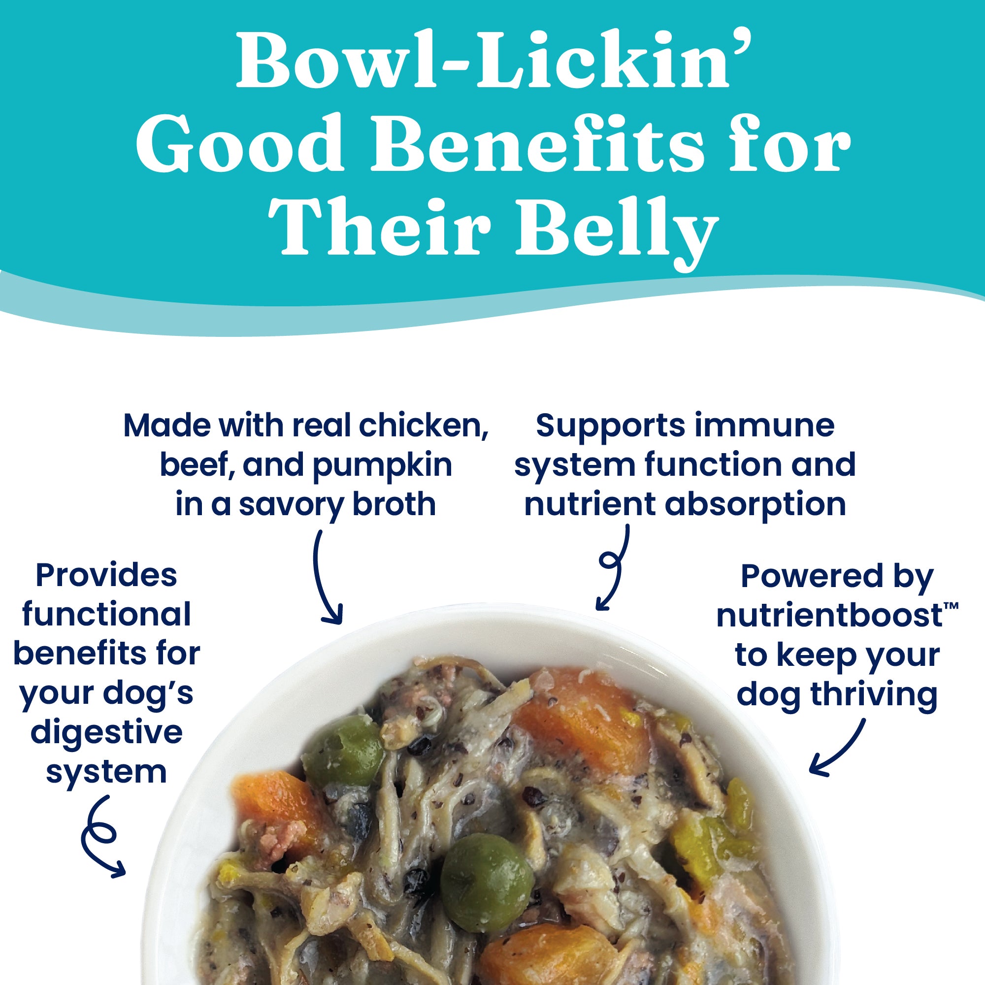 Wet dog food in a bowl featuring chicken, beef, pumpkin, and vegetables in a savory broth.