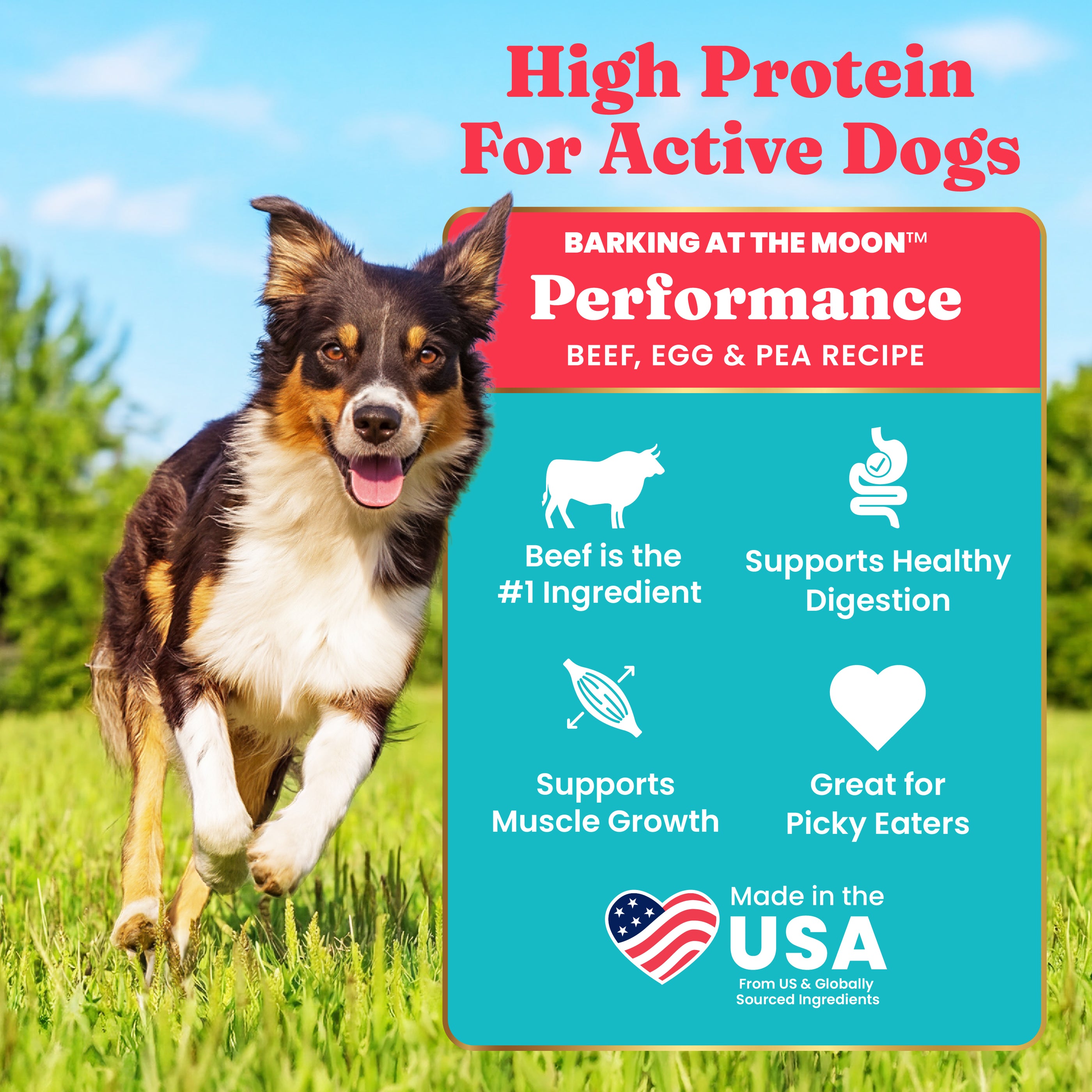 Nutrientboost™ Barking at the Moon™ Performance Beef Dry Dog Food