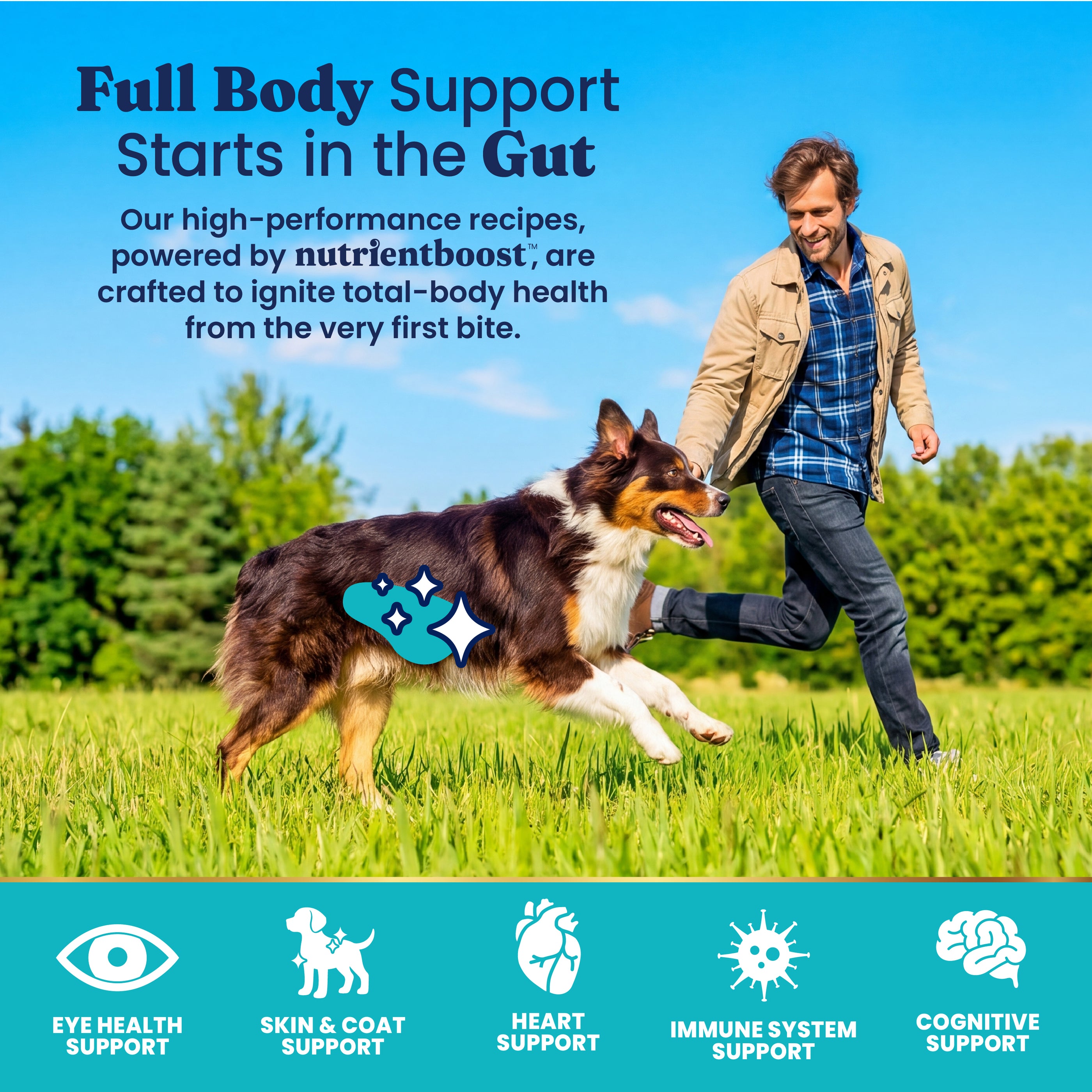 Nutrientboost™ Barking at the Moon™ Performance Beef Dry Dog Food