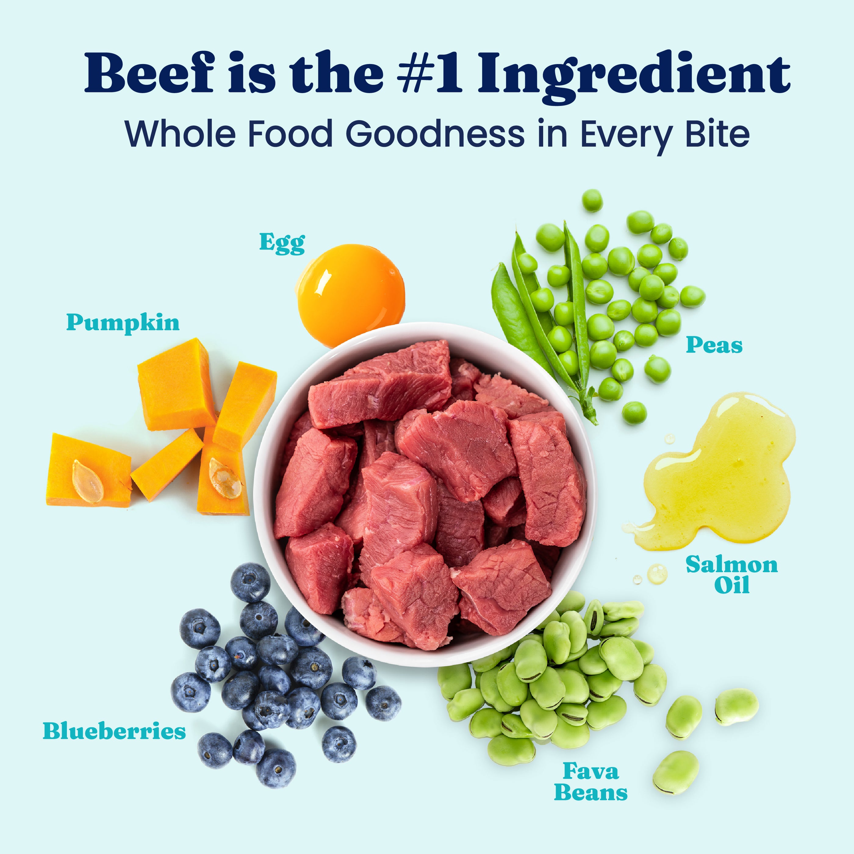 Nutrientboost™ Barking at the Moon™ Performance Beef Dry Dog Food