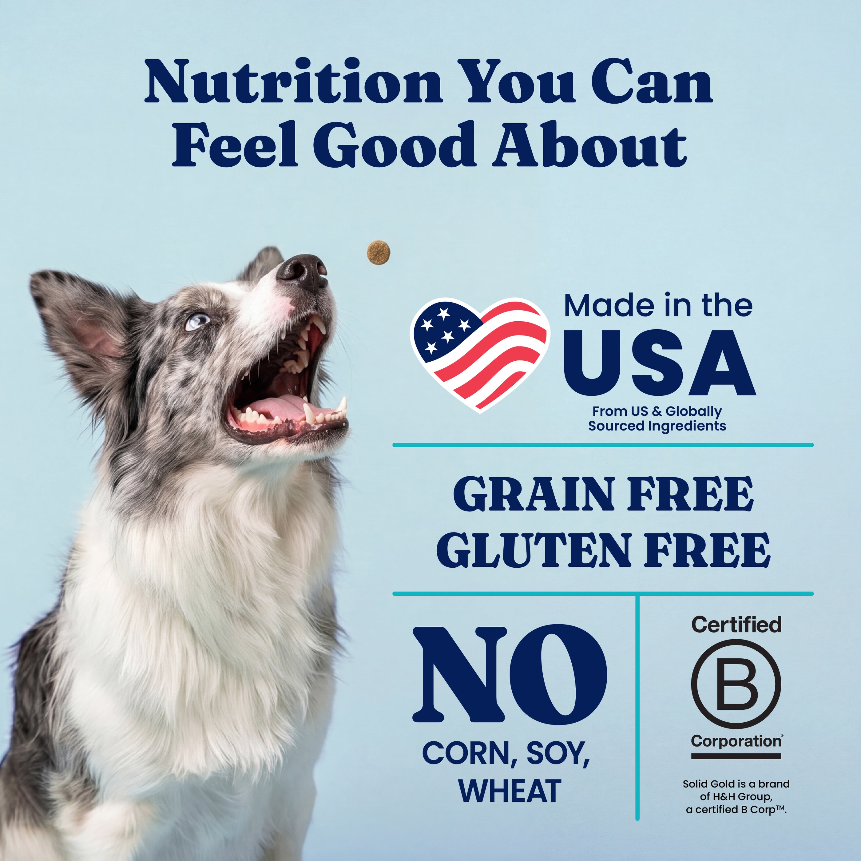 Nutrientboost™ Barking at the Moon™ Performance Beef Dry Dog Food