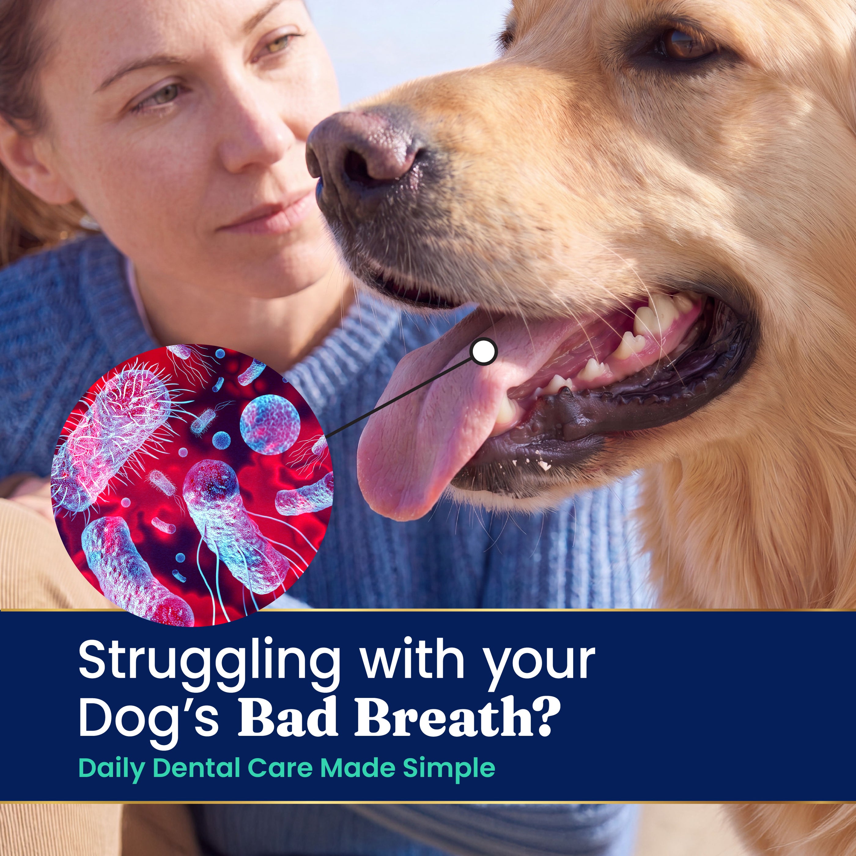 SeaMeal Dental Powder for Dogs