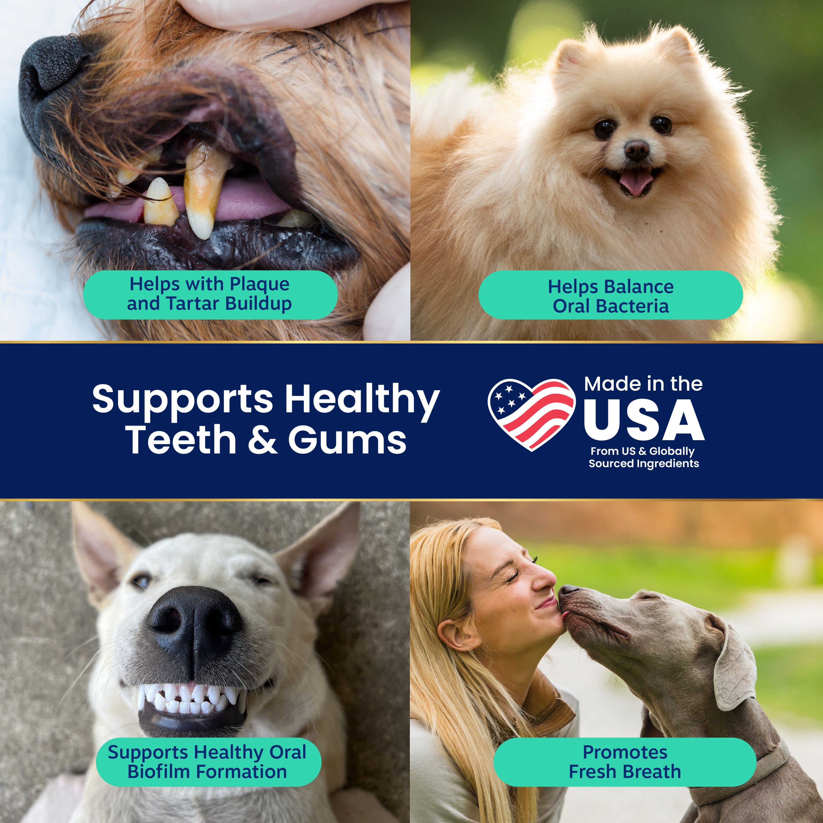 SeaMeal Dental Powder for Dogs