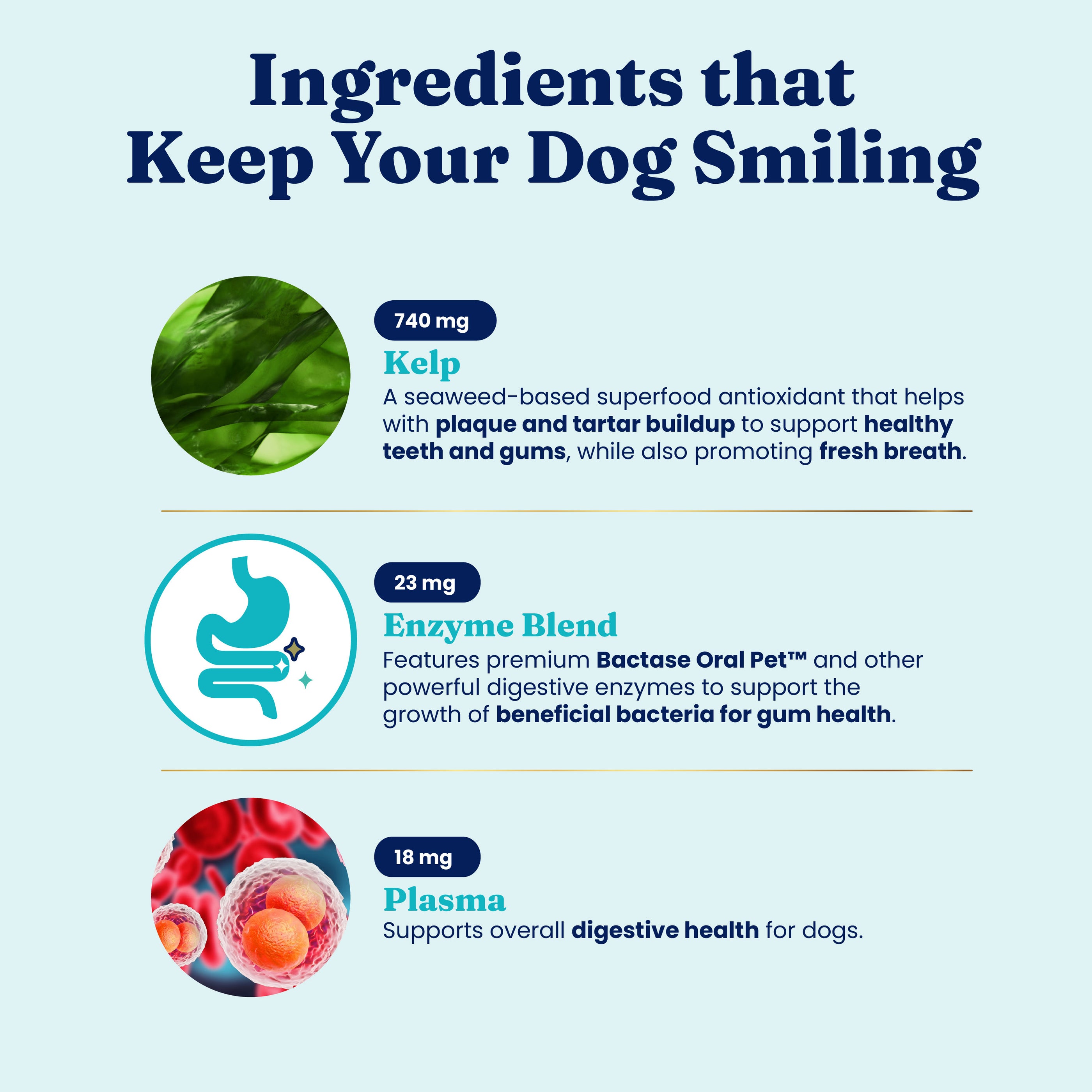 SeaMeal Dental Powder for Dogs