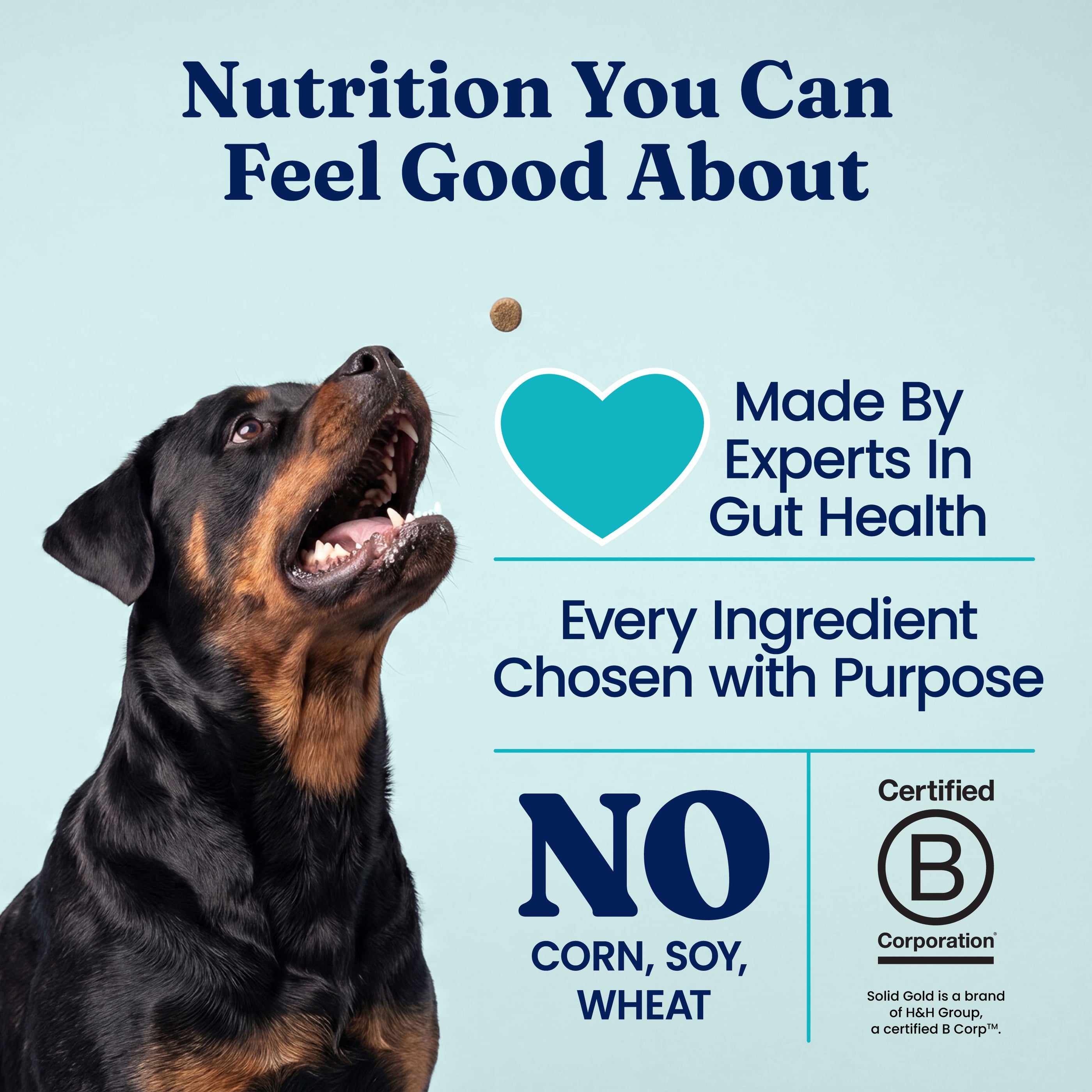 Dehydrated Complete Meal Kit for Dogs