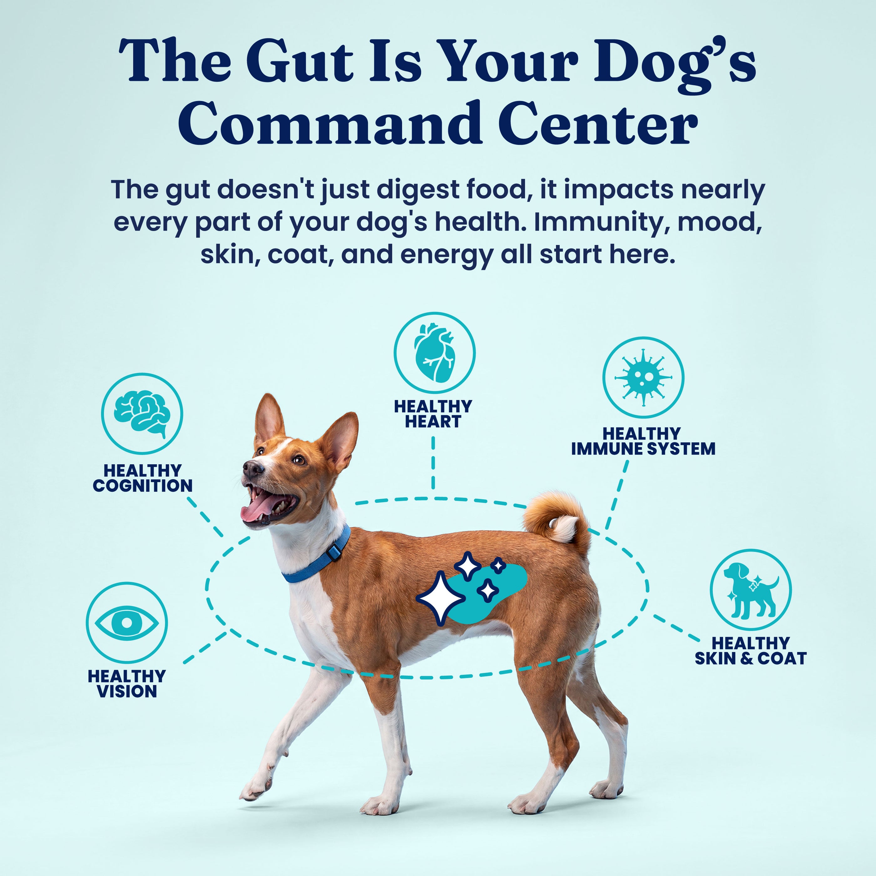 Dehydrated Complete Meal Kit for Dogs