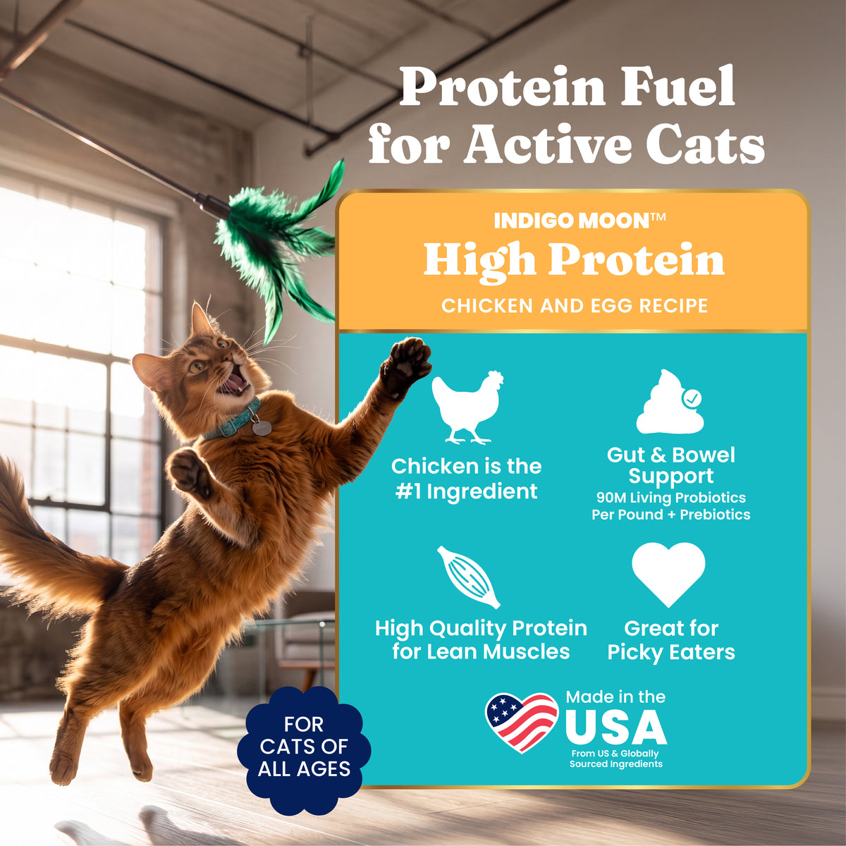 Indigo Moon™ Chicken Dry Food for Cats