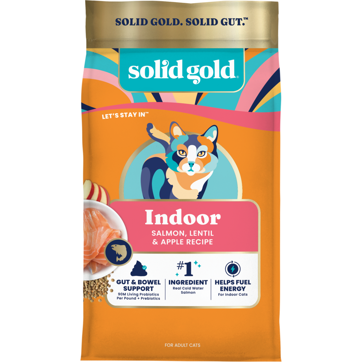 Let’s Stay In™ Salmon Dry Food for Indoor Cats