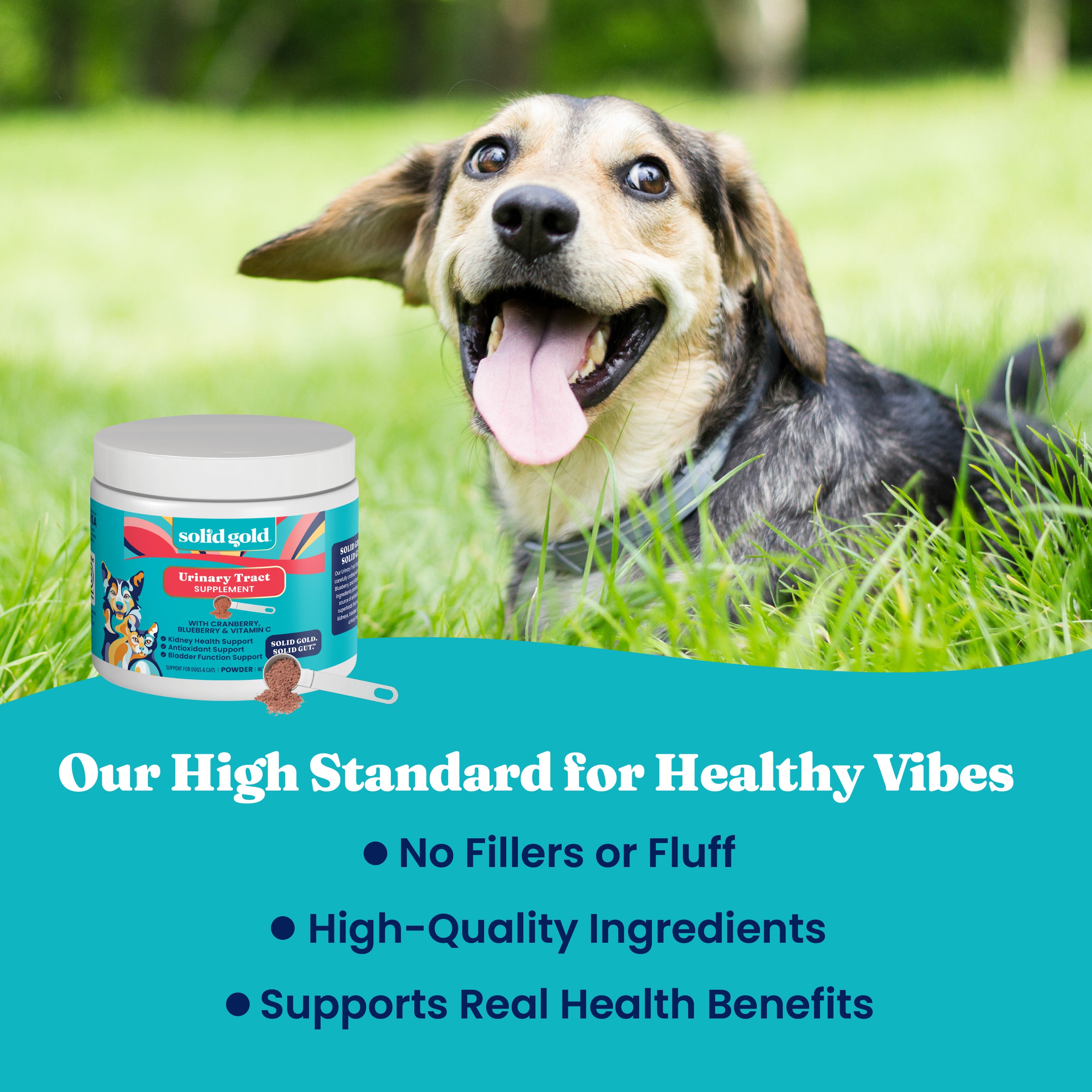 A happy dog sits on grass next to a container of Berry Balance™ Urinary Tract Health Powder for Dogs & Cats.