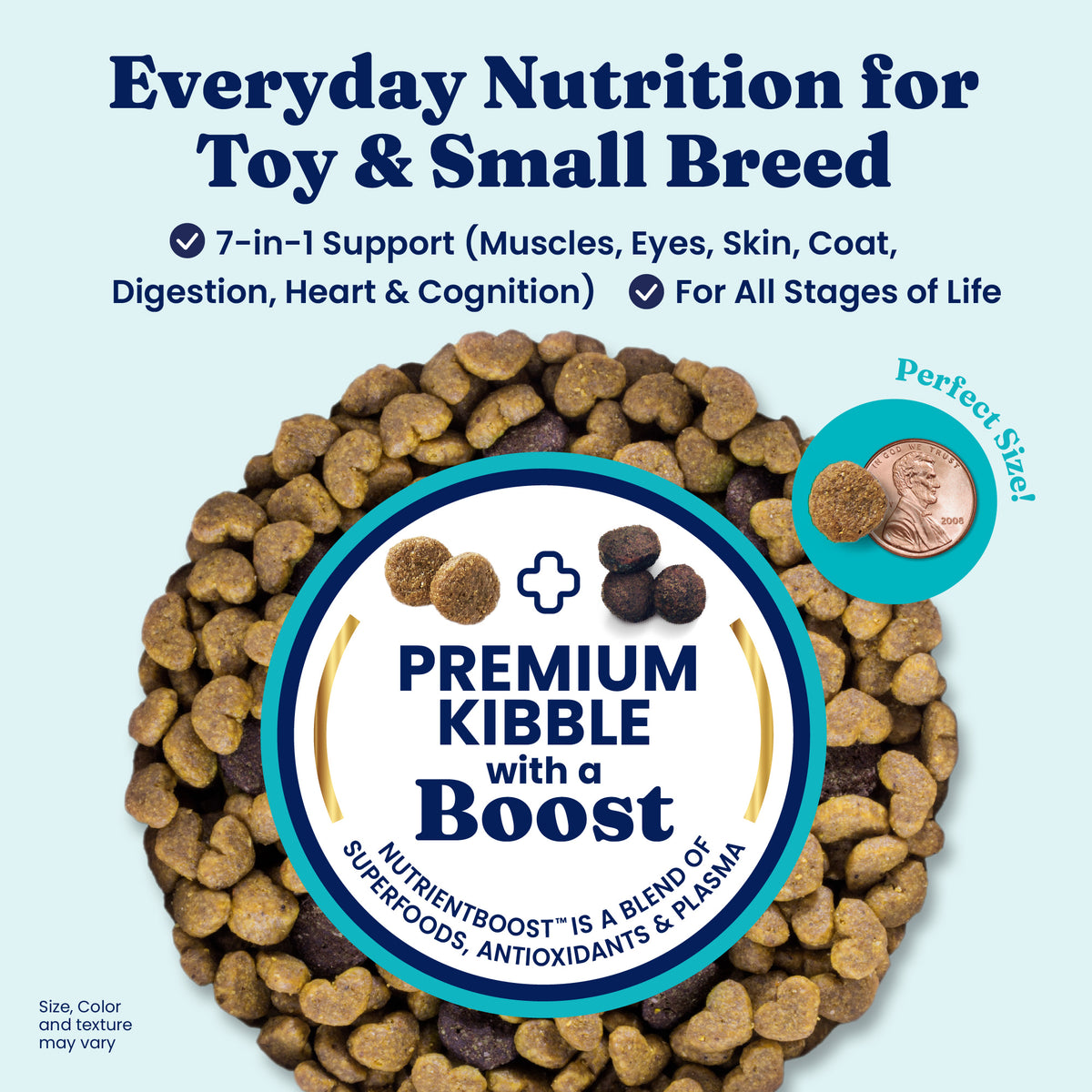 Dry dog food kibble in various shapes and sizes, with a penny for scale, on a light blue background.