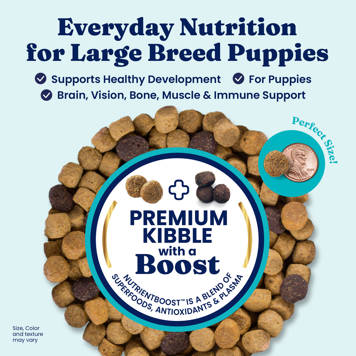 Kibble in various shapes and colors, with a coin for size reference, highlighting nutritional benefits for large breed puppie