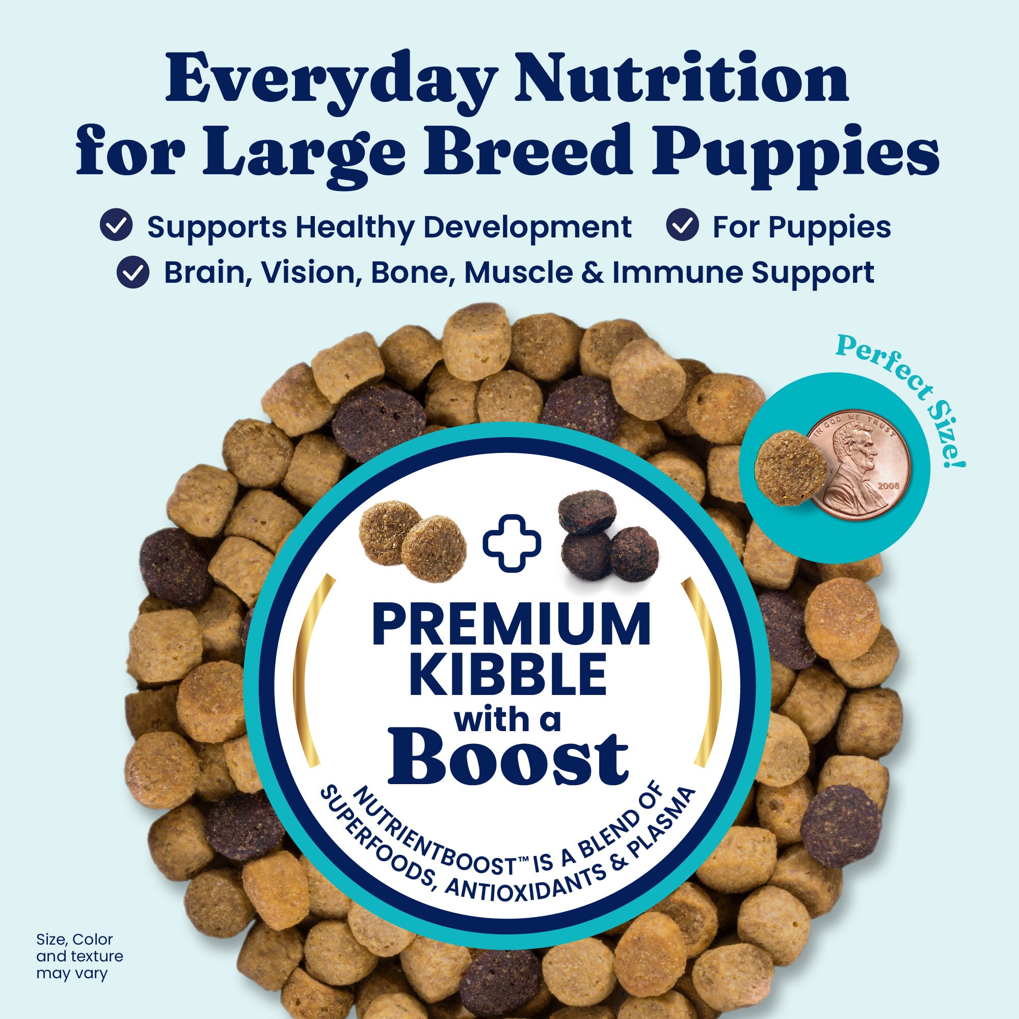 Kibble in various shapes and colors, with a coin for size reference, highlighting nutritional benefits for large breed puppie