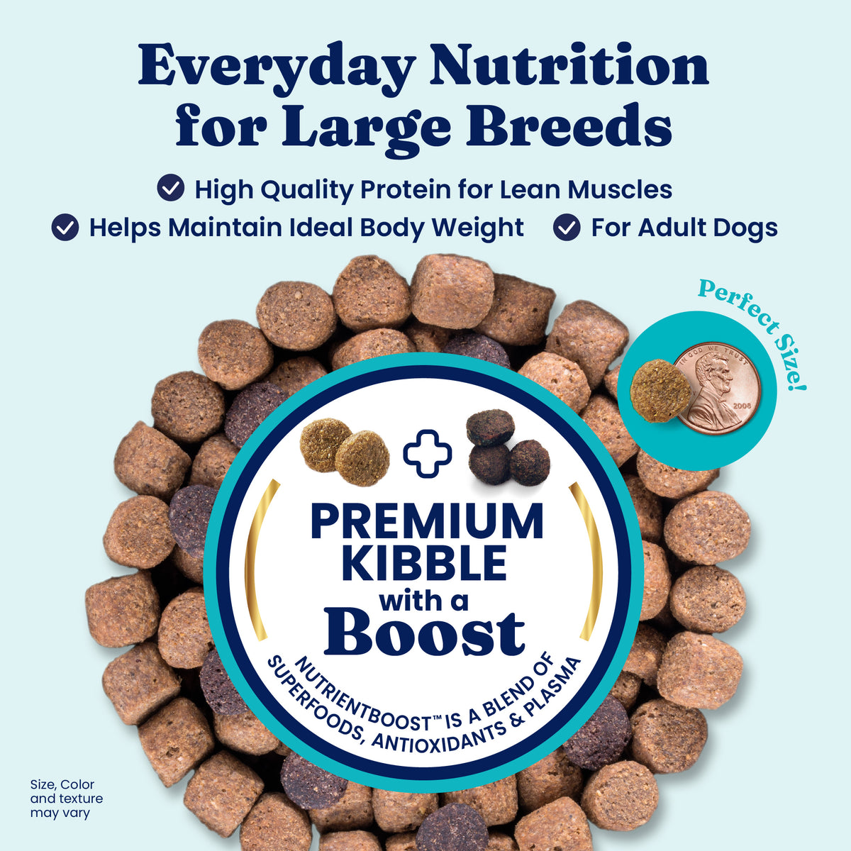 Dry dog food kibble in various shapes and sizes, featuring a coin for scale and a label highlighting nutritional benefits.