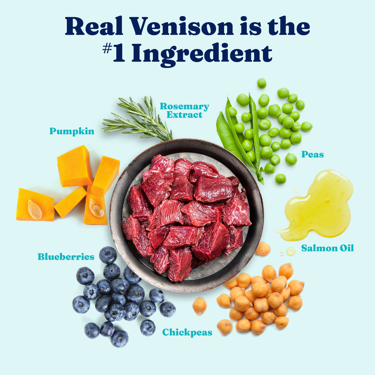 Nutrientboost™ Buck Wild™ Sensitive Stomach Dry Food for Adult Dogs