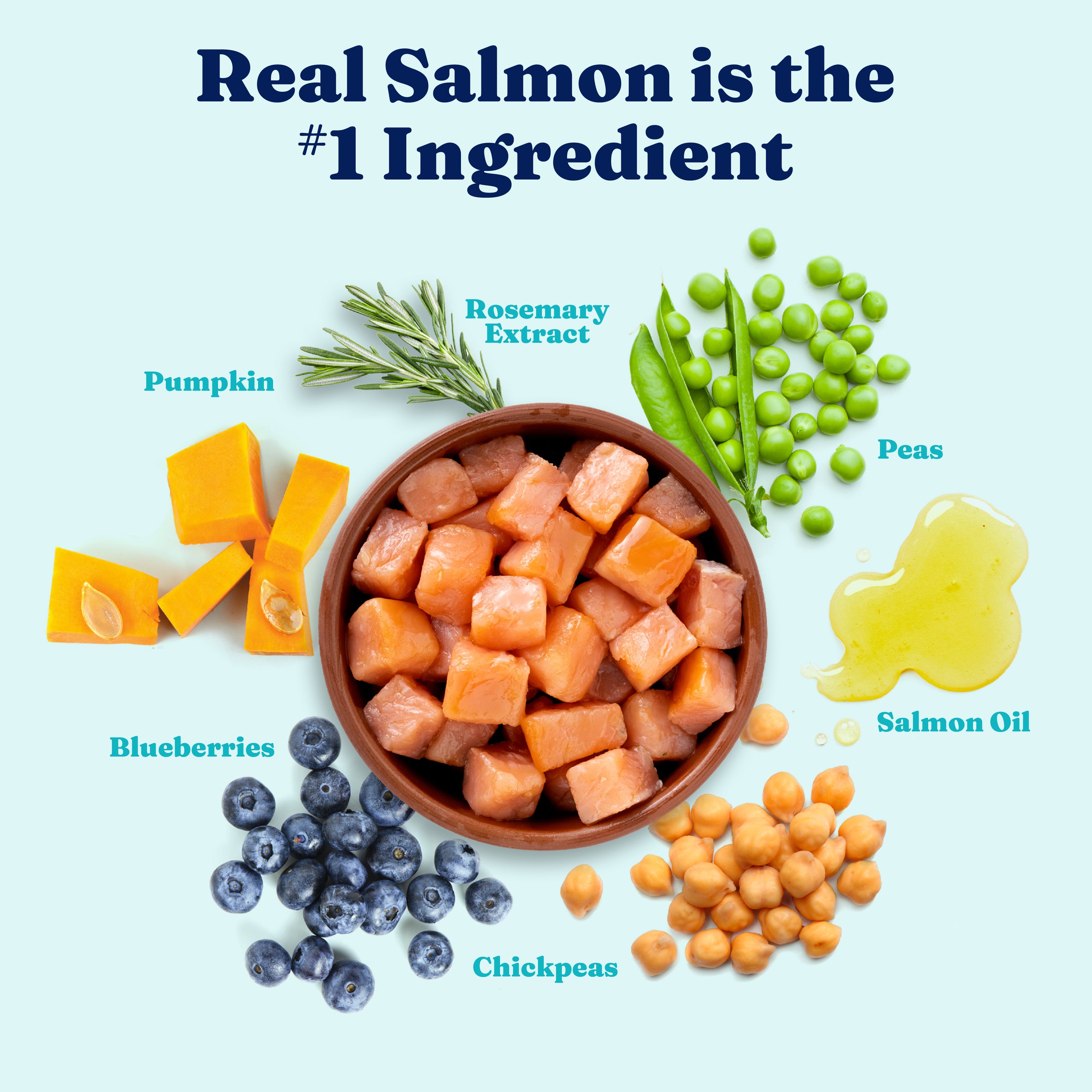 Bowl of salmon chunks surrounded by pumpkin, blueberries, chickpeas, peas, rosemary, and salmon oil.