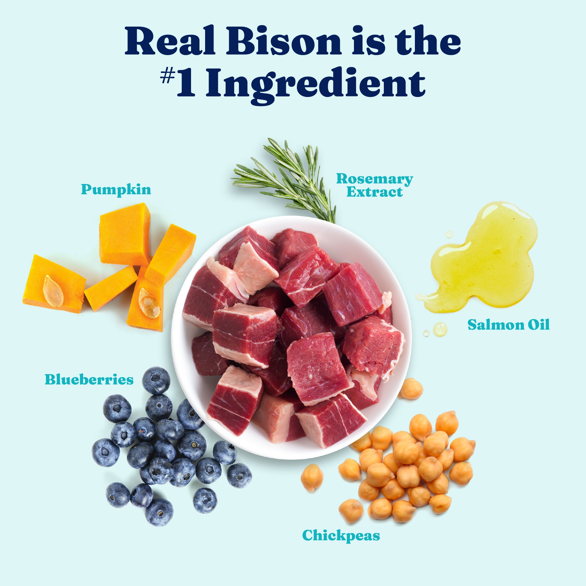 Bowl containing bison meat, pumpkin, blueberries, chickpeas, rosemary, and salmon oil on a light blue background.