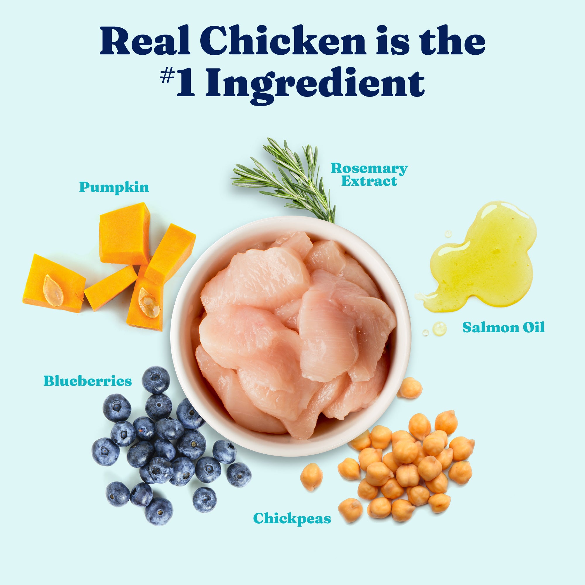 Bowl of raw chicken surrounded by pumpkin, blueberries, chickpeas, rosemary extract, and salmon oil on a light background.