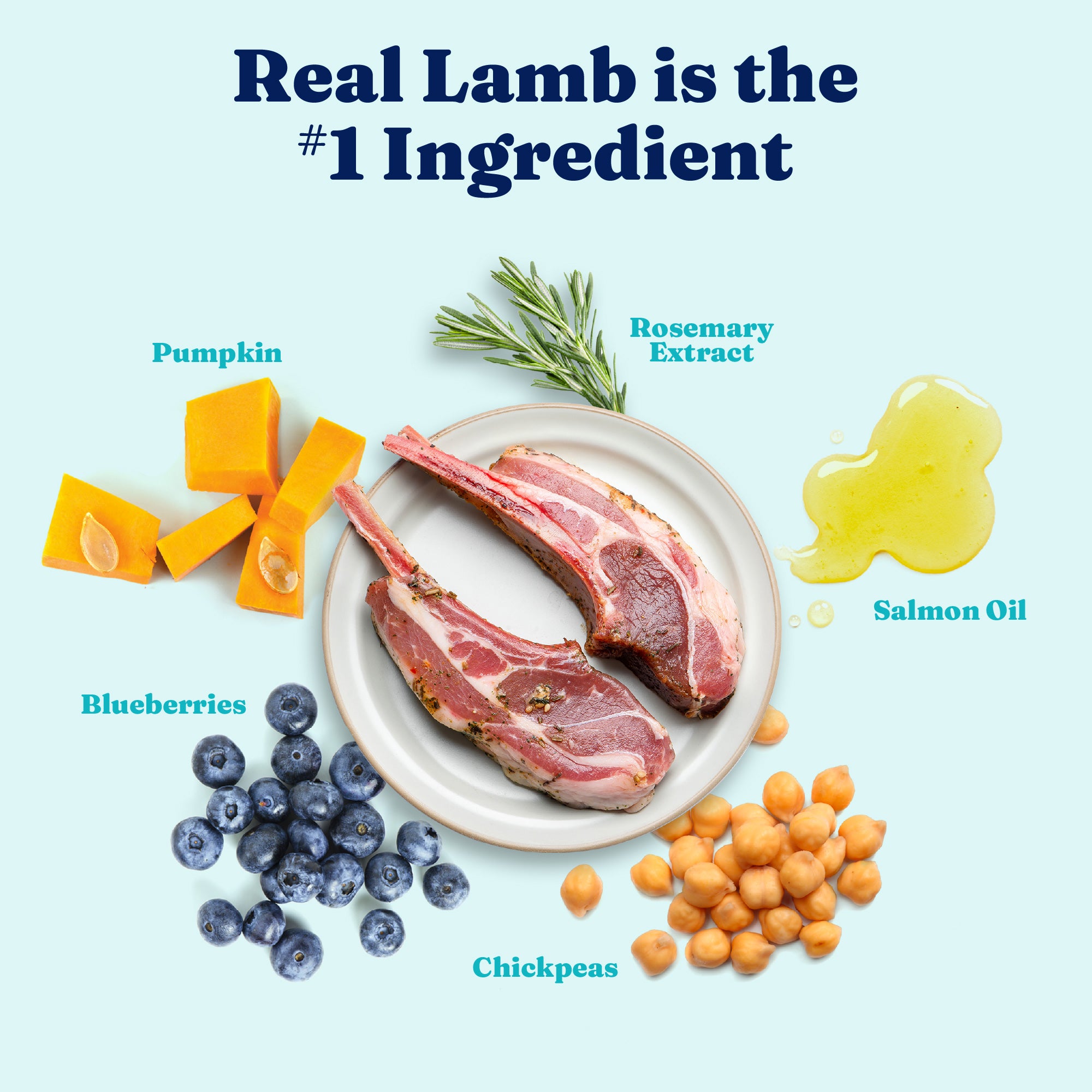 Lamb chops on a plate surrounded by pumpkin, blueberries, chickpeas, rosemary, and salmon oil.