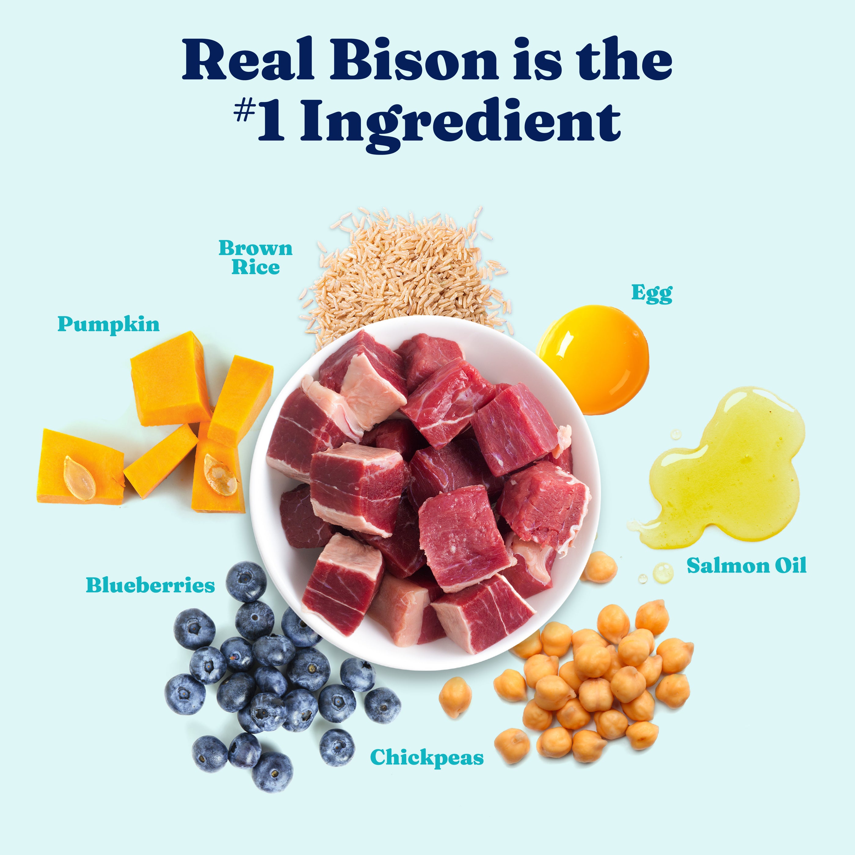Bowl of raw bison chunks surrounded by pumpkin, brown rice, blueberries, chickpeas, egg, and salmon oil.