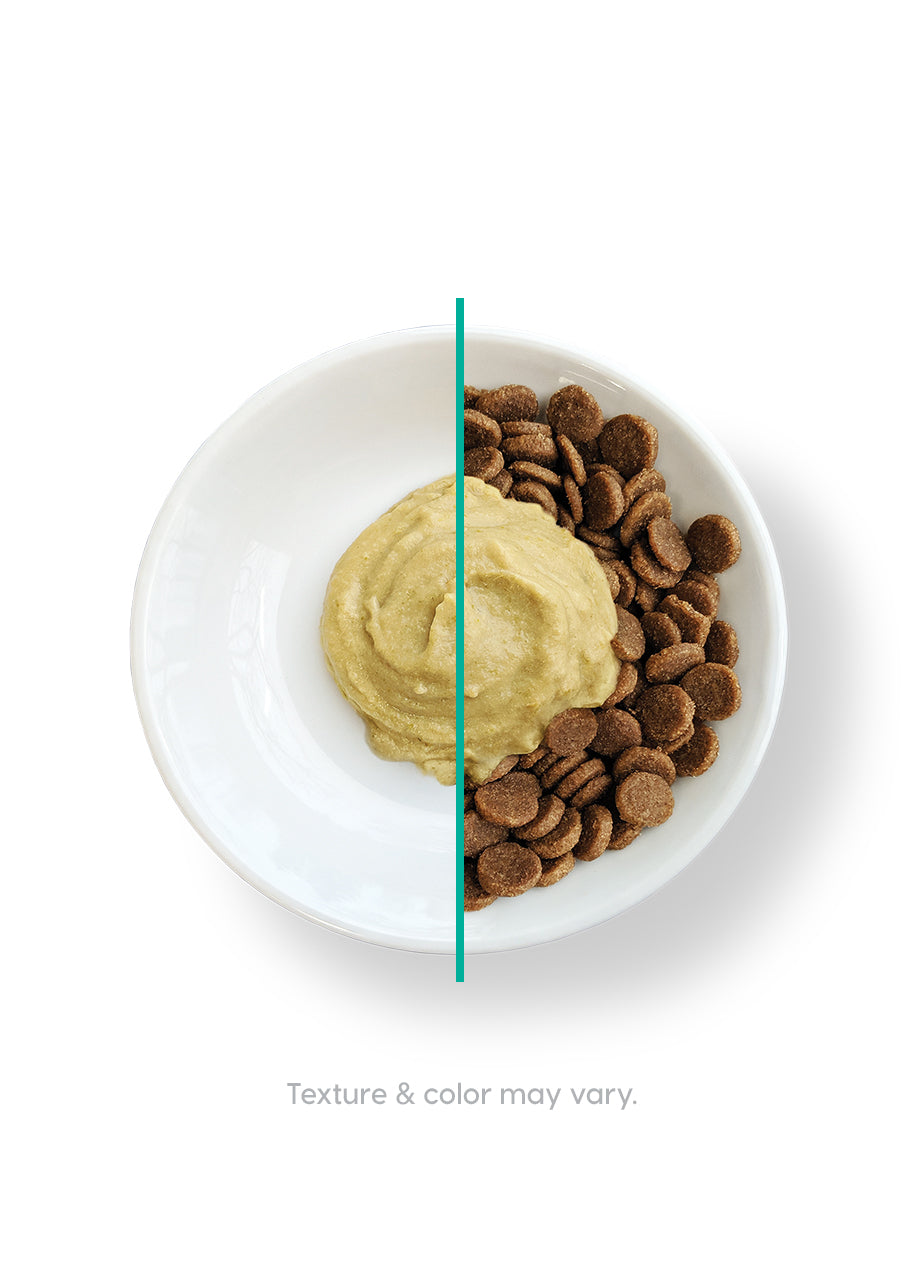 Bowl containing a creamy chicken-flavored mousse on one side and dry cat kibble on the other.