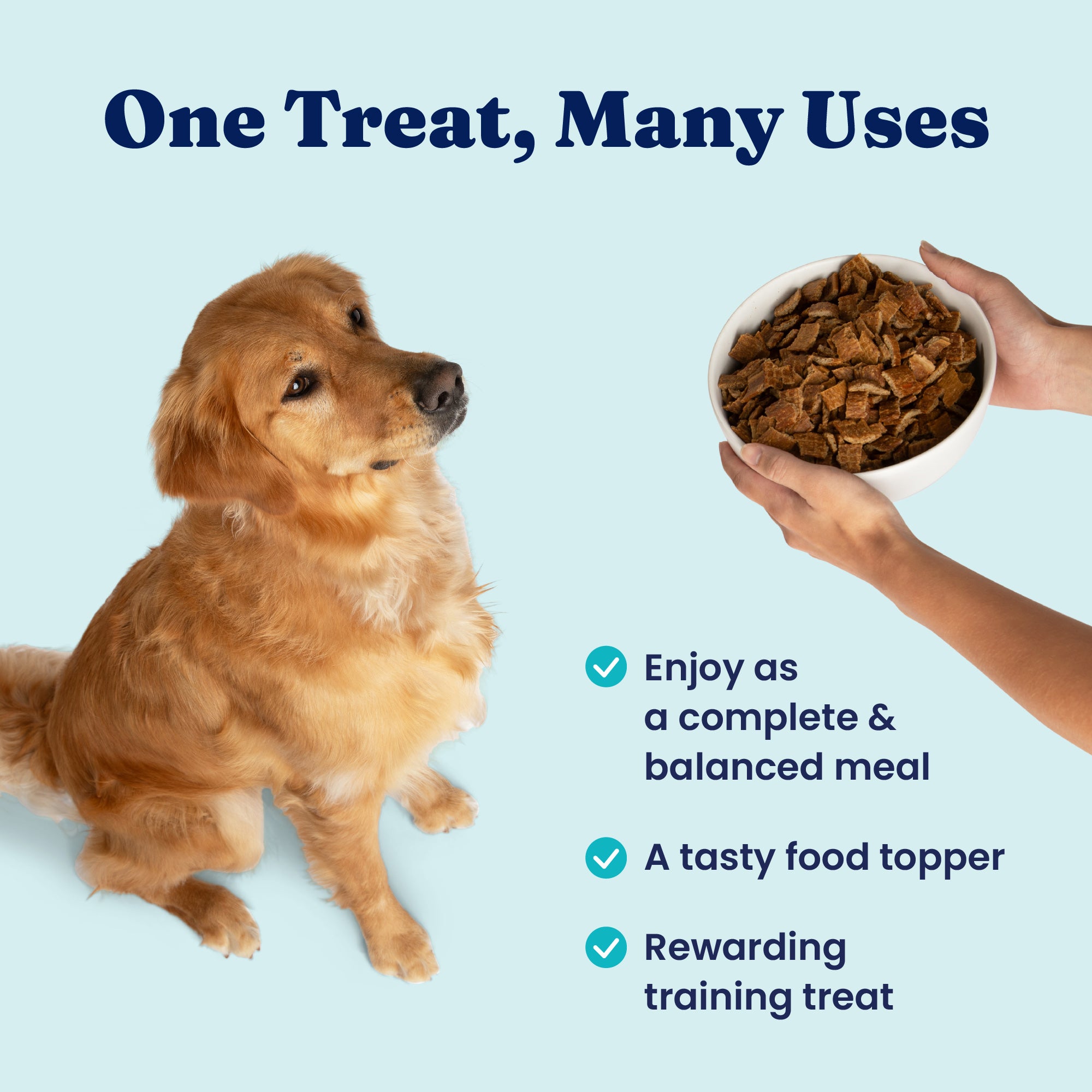 A golden retriever sits beside a hand holding a bowl of air-dried chicken dog food.
