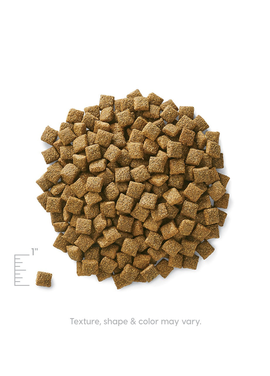 Dry dog food kibble in small, square shapes, with a brown color and varied texture.