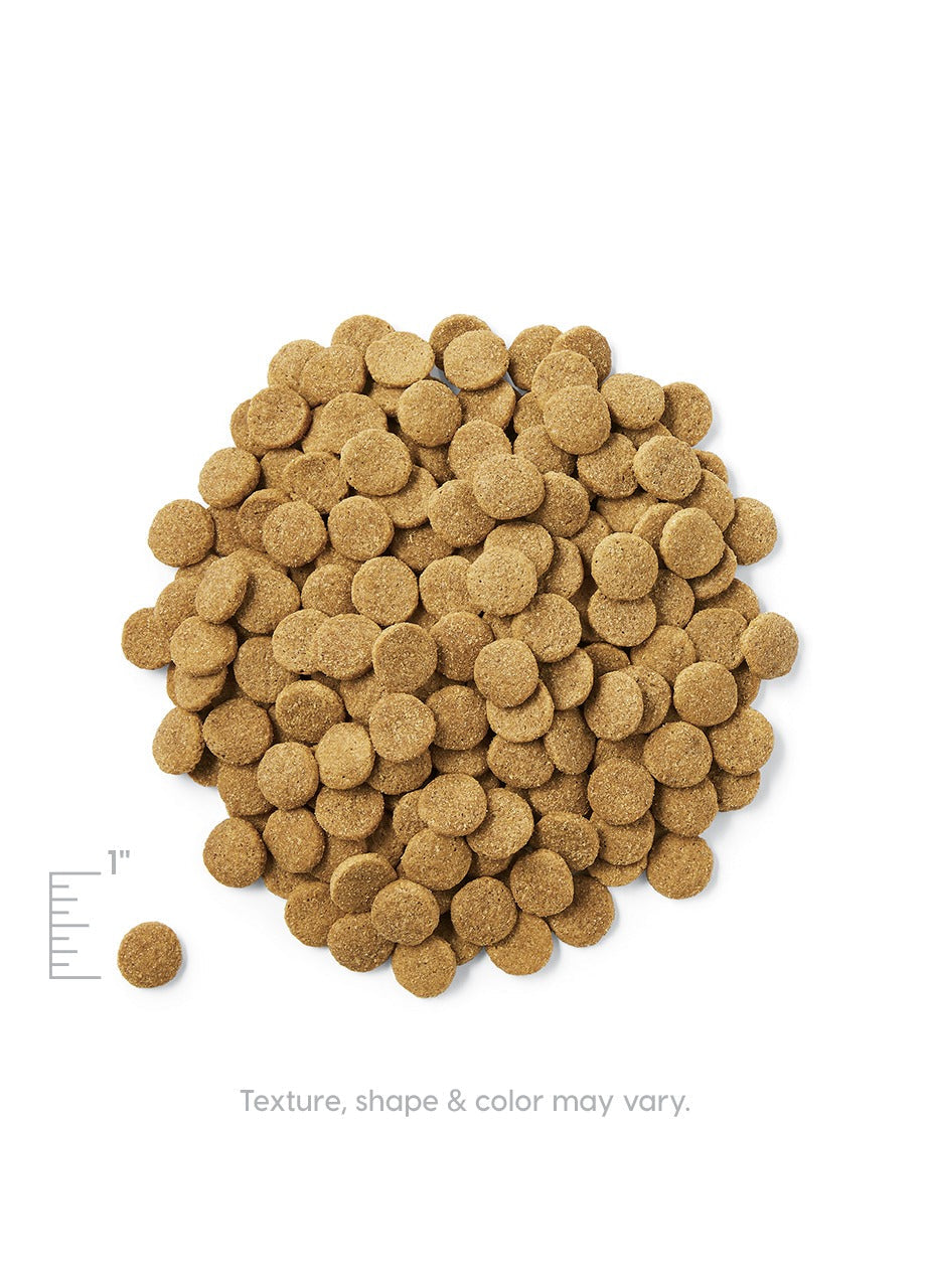 Dry dog food pellets in a pile, featuring a round shape and brown color.