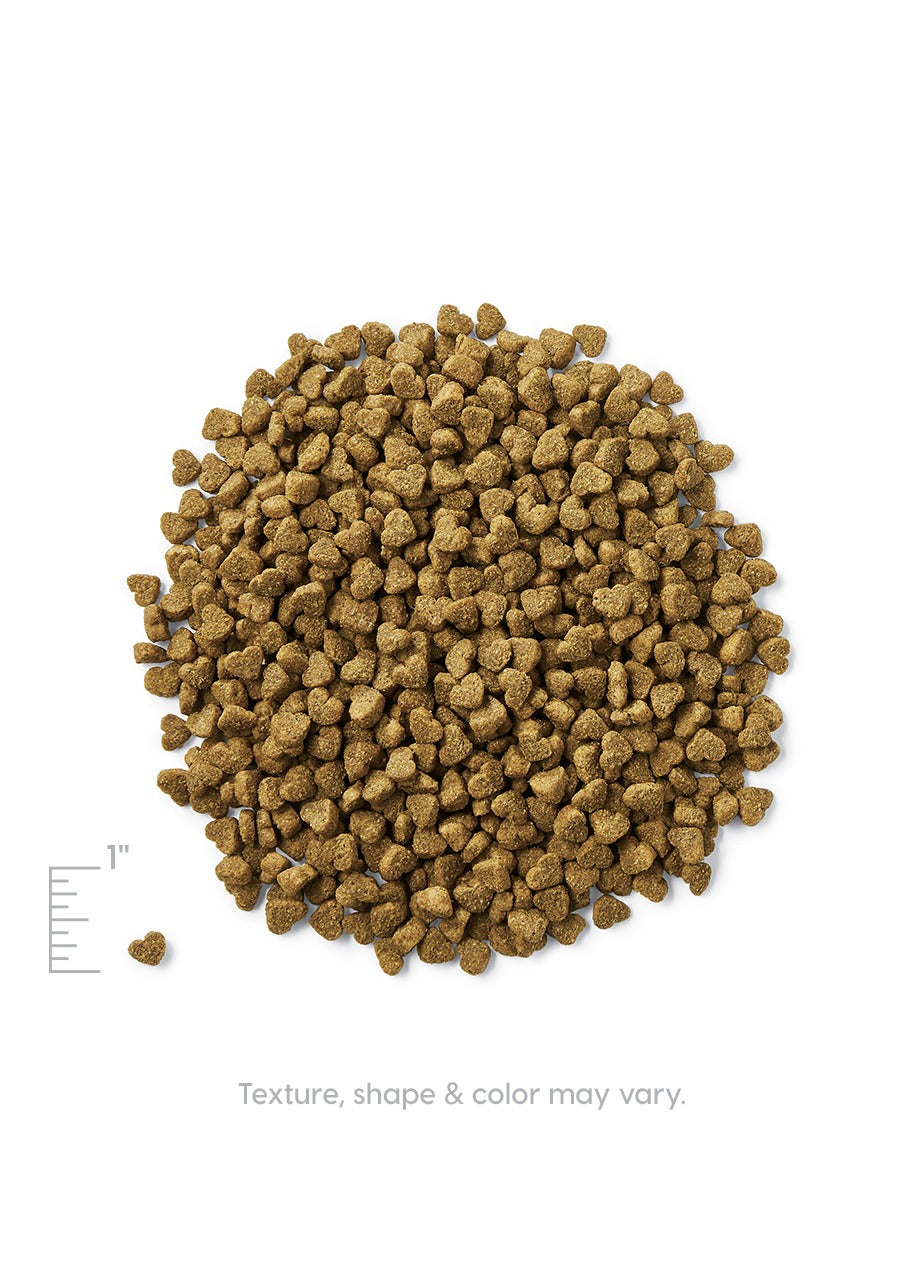 Small, heart-shaped dry dog food kibble in a brown color, arranged in a circular pile.