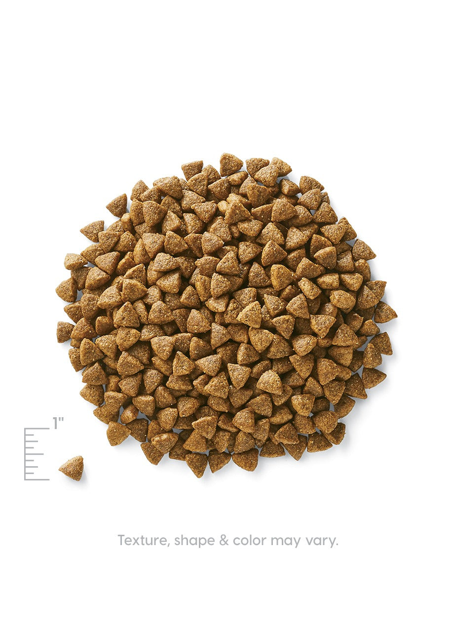 Brown, triangular kibble pieces arranged in a circular pile on a white background.
