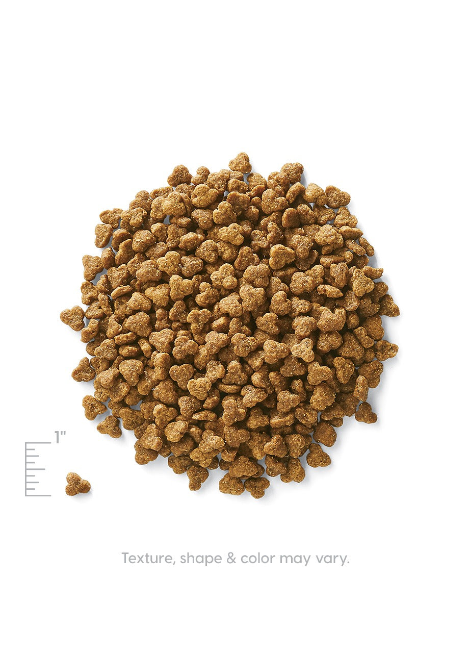 Brown dry cat food kibble shaped like small hearts, arranged in a circular pile on a white background.
