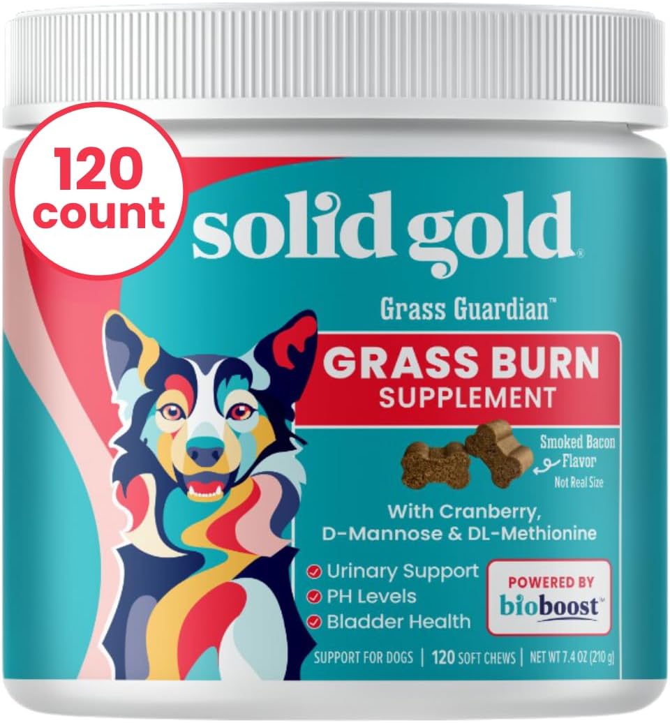 Container of Grass Guardian™ Digestive Health Chews for dogs, featuring a colorful dog illustration and 120 soft chews.