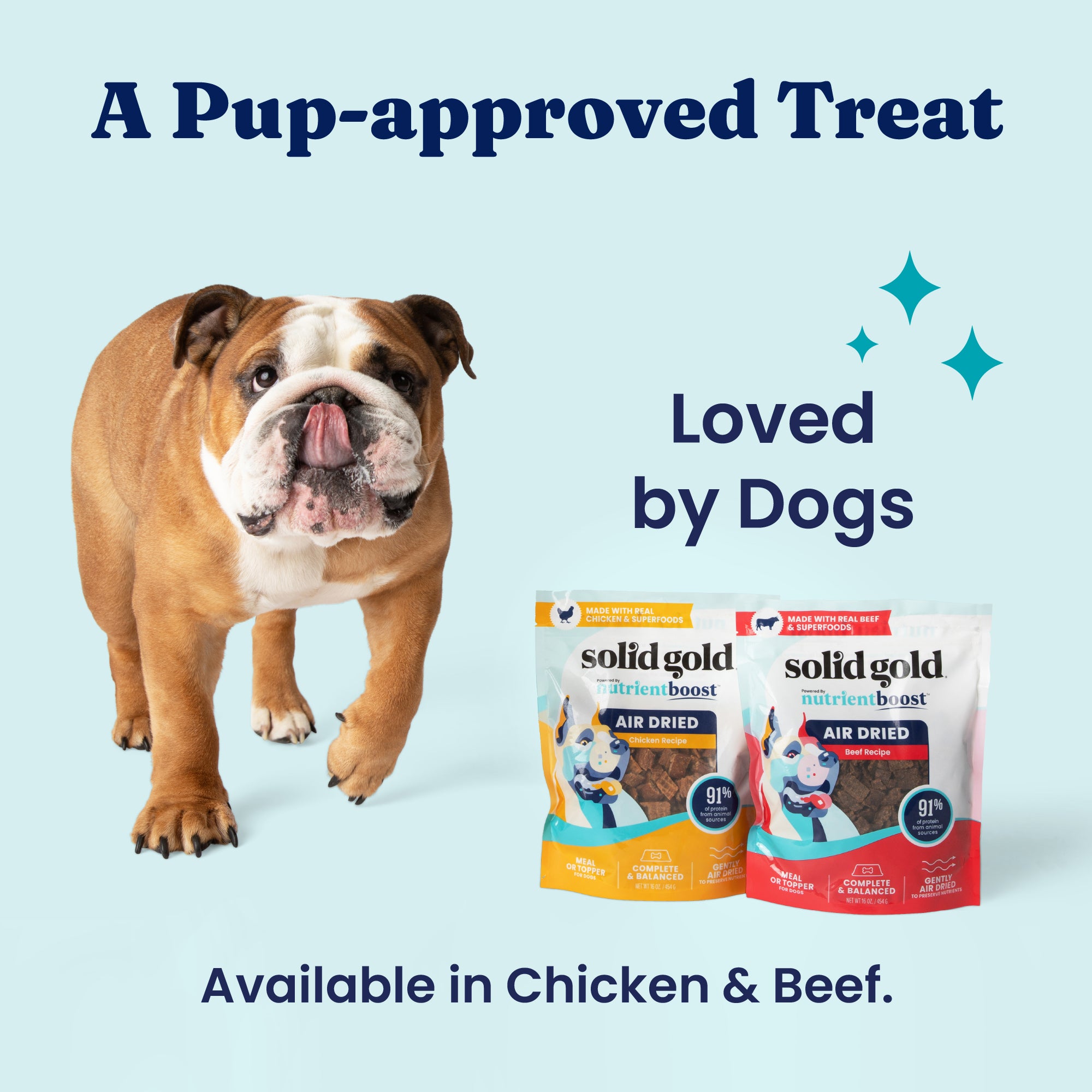 Bulldog standing next to two bags of air-dried dog food, one chicken and one beef flavor, on a light blue background.