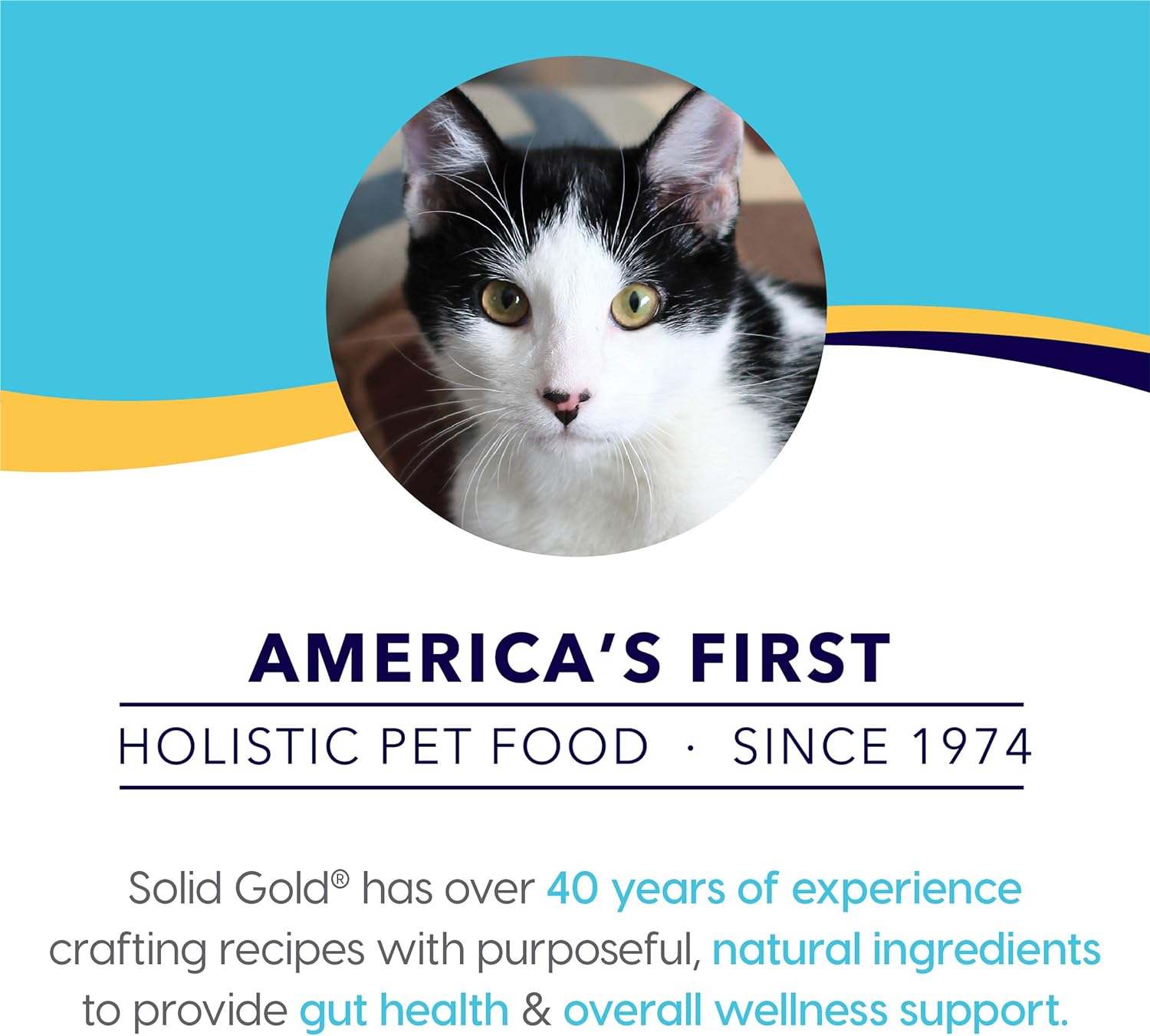 Bone Broth Meal Topper for Cats