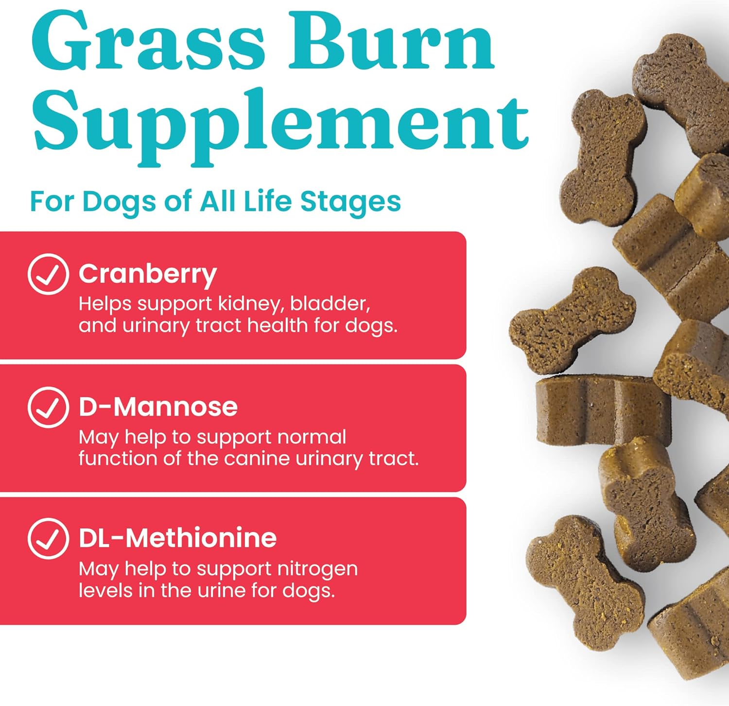Brown bone-shaped chews scattered on a white surface, labeled with health benefits for dogs.