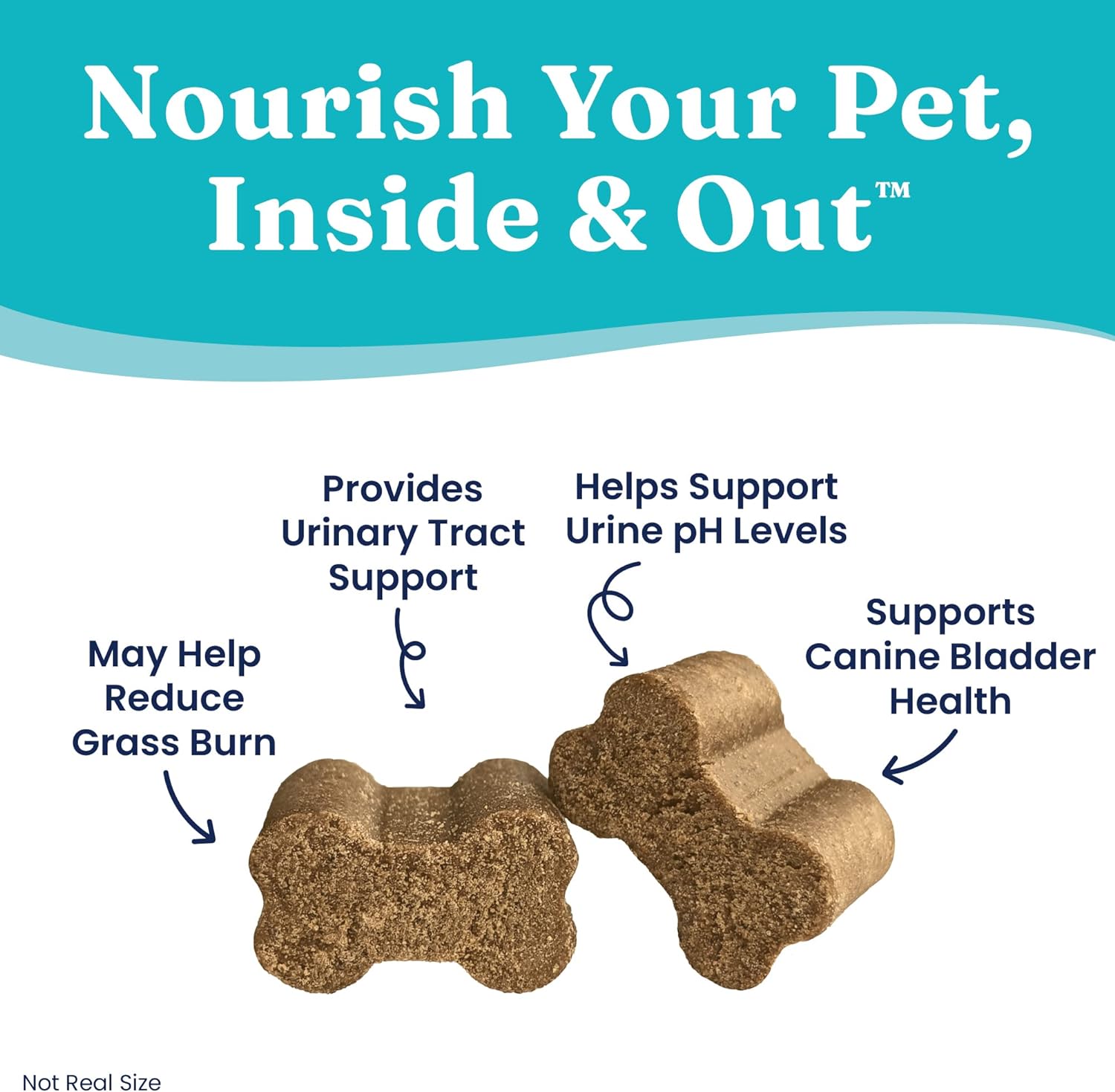 Two bone-shaped chews for dogs, labeled with benefits for urinary tract and bladder health.