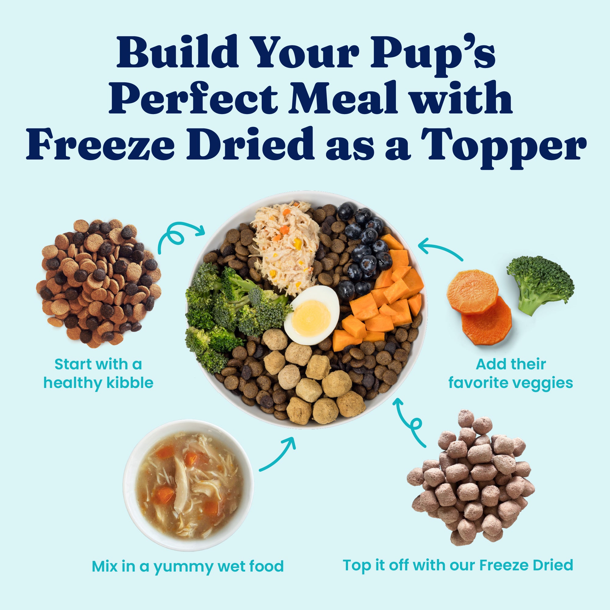 Bowl of dog food with kibble, vegetables, wet food, and freeze-dried meal topper arranged in sections.