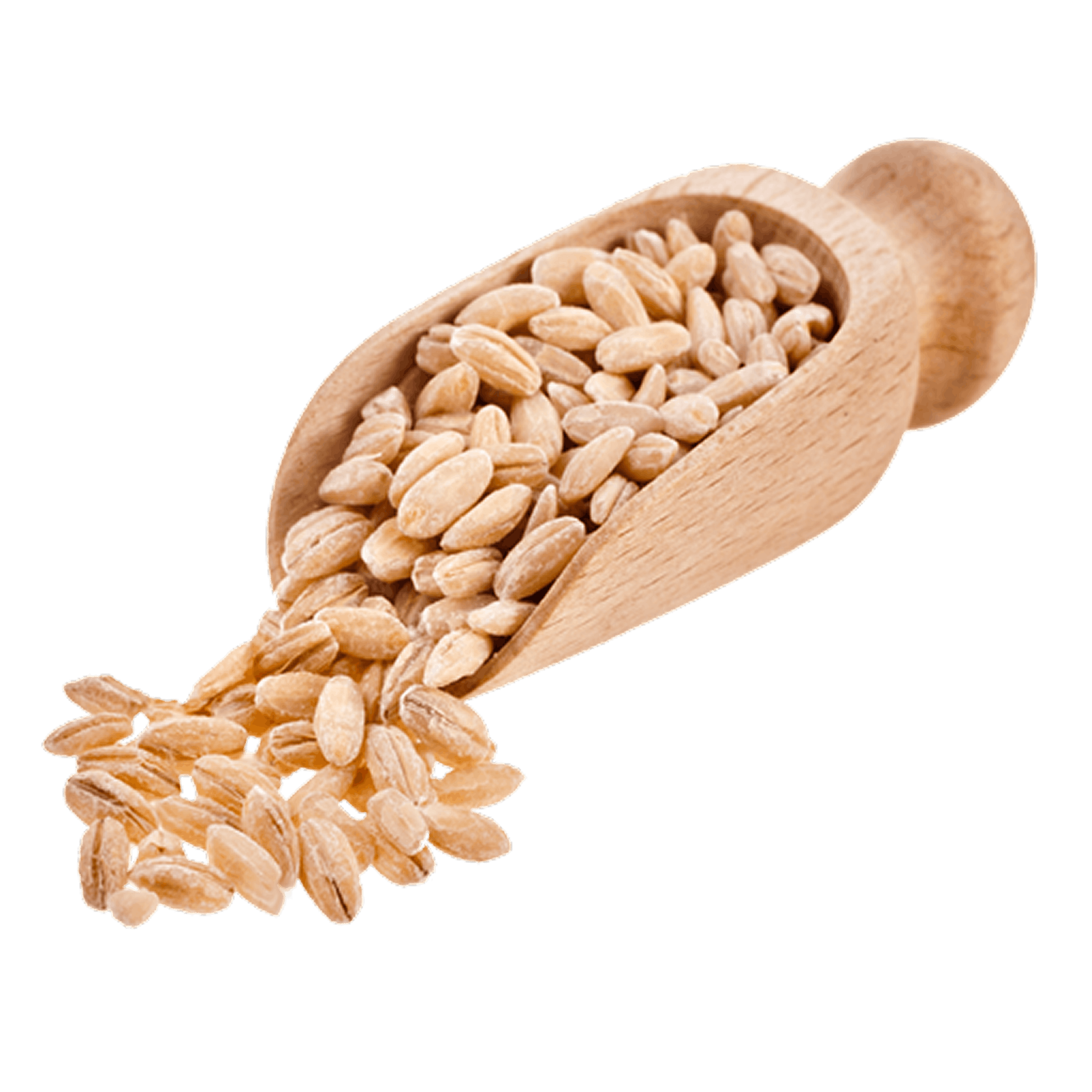Dehydrated Complete Meal Kit for Dogs