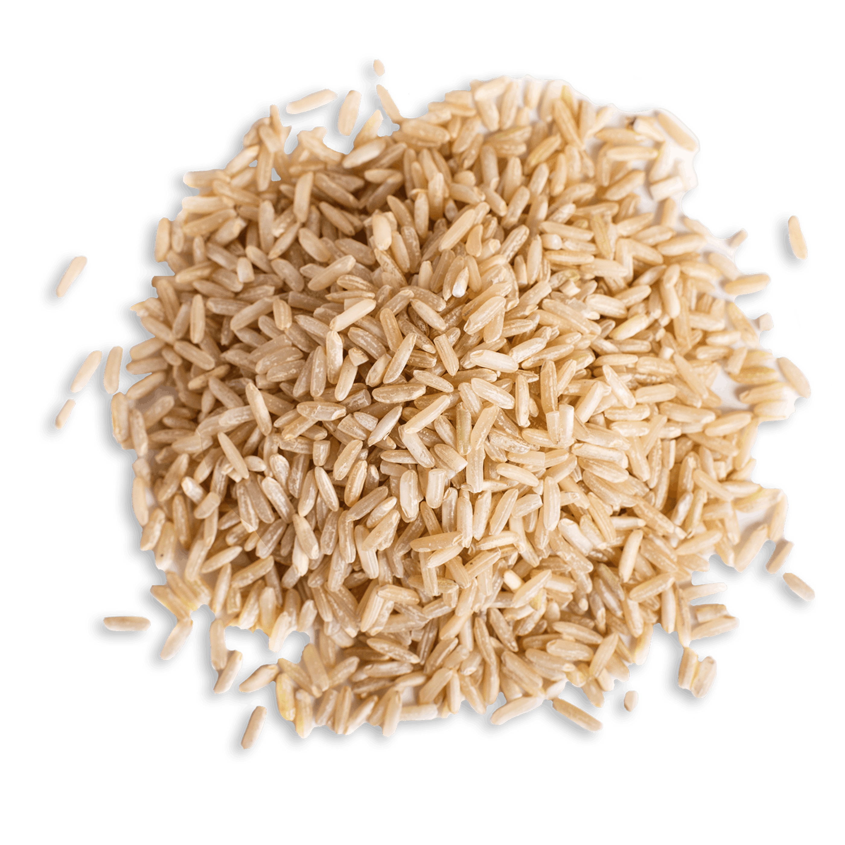 Hund-N-Flocken™ Dry Food for Adult Dogs