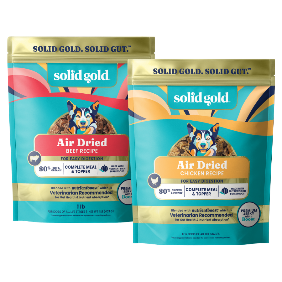 Two stand-up pouches of Solid Gold Air Dried dog food on a plain white background. The left pouch is Beef Recipe with a red label, and the right pouch is Chicken Recipe with a yellow label.