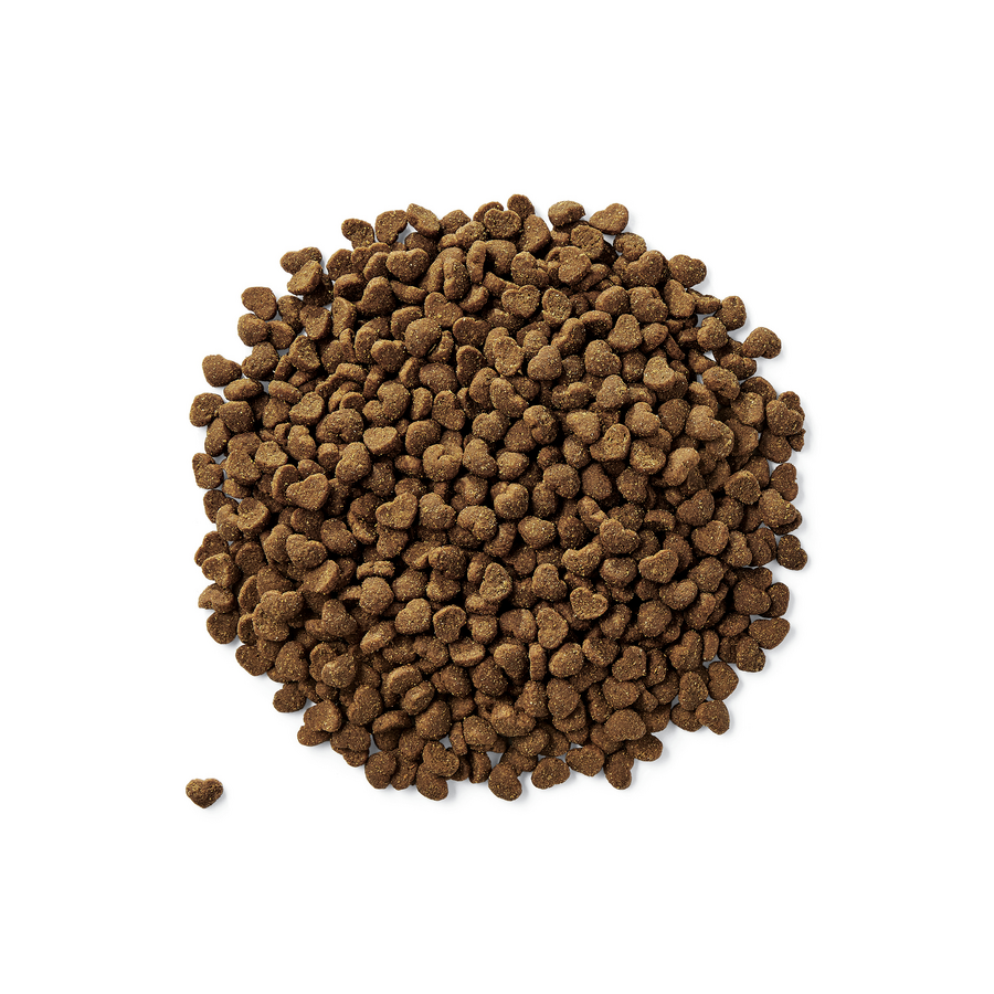 Nature's Harmony™ Chicken & Duck Wet Food for Cats