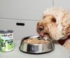 Dog eating from a bowl of Solid Gold dog food with a can of Solid Gold in the background.