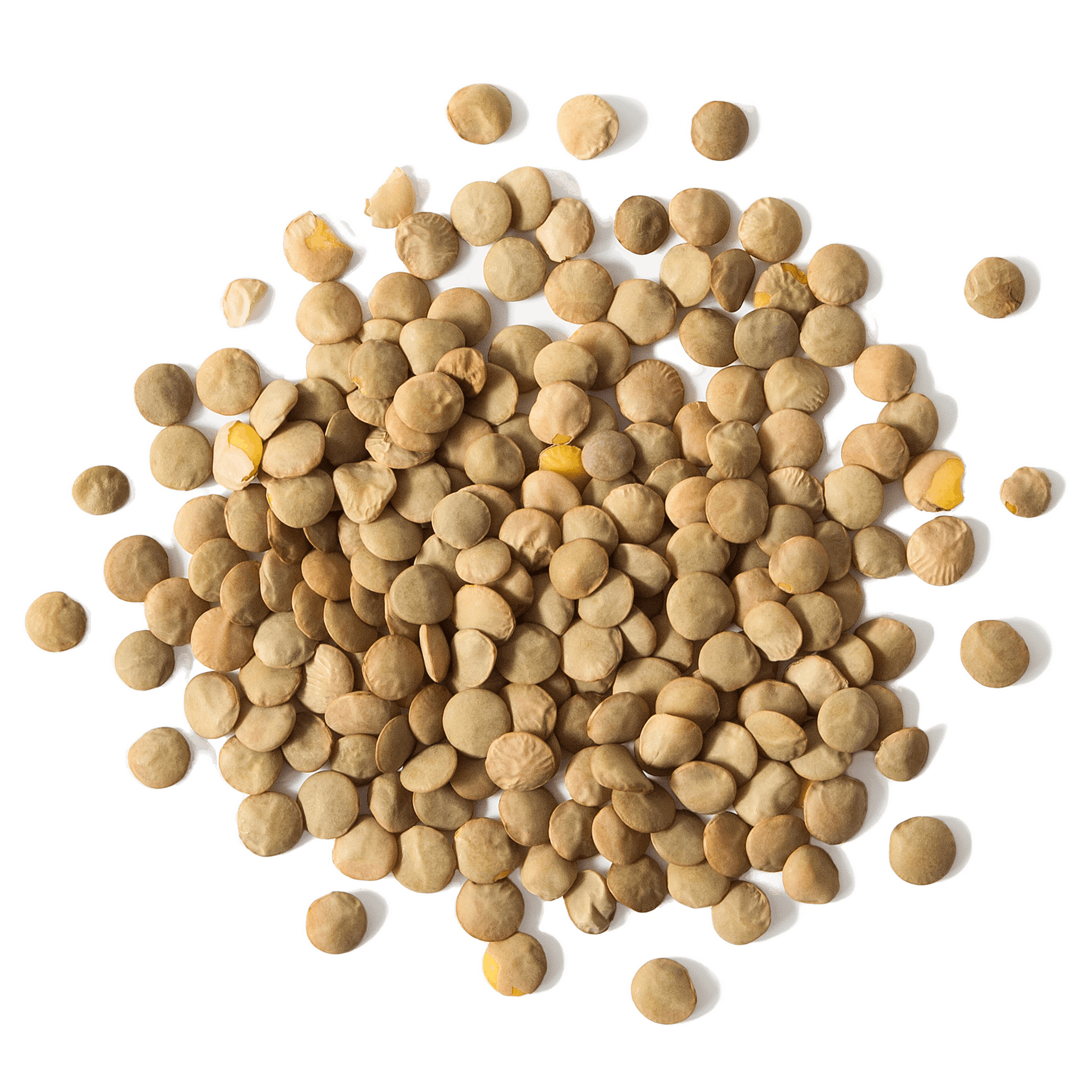 Let’s Stay In™ Salmon Dry Food for Indoor Cats