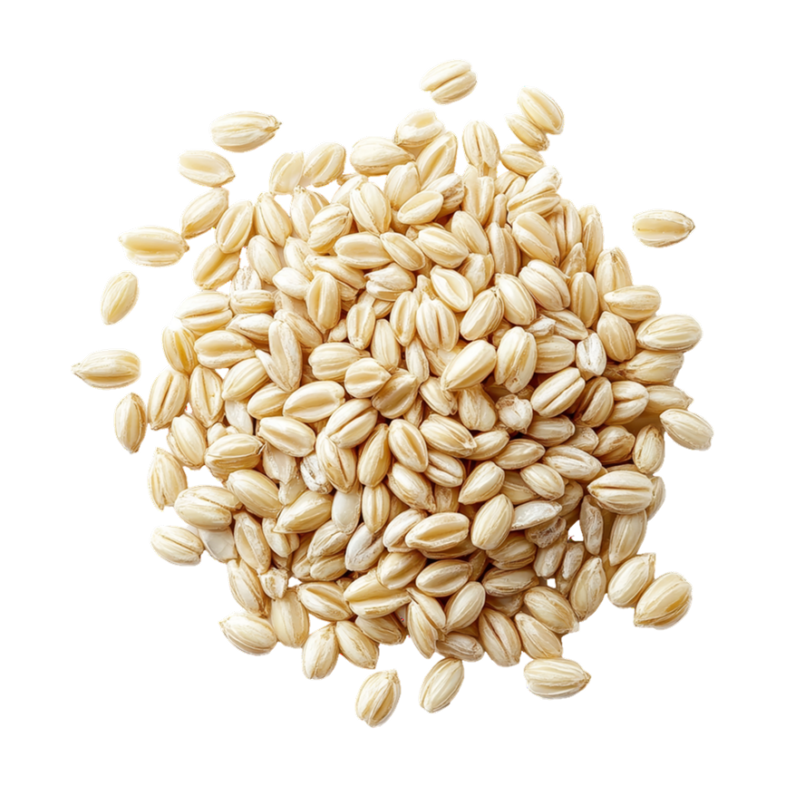 Wild Heart™ Sensitive Stomach Dry Food for Adult Dogs