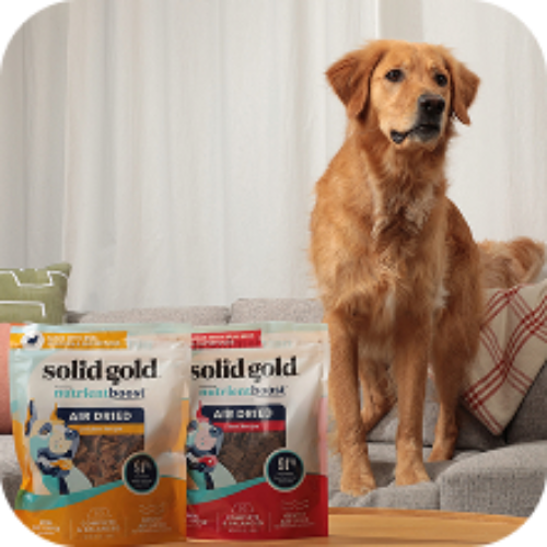 Holistic Dog Food | Grain Free | Solid Gold Pet