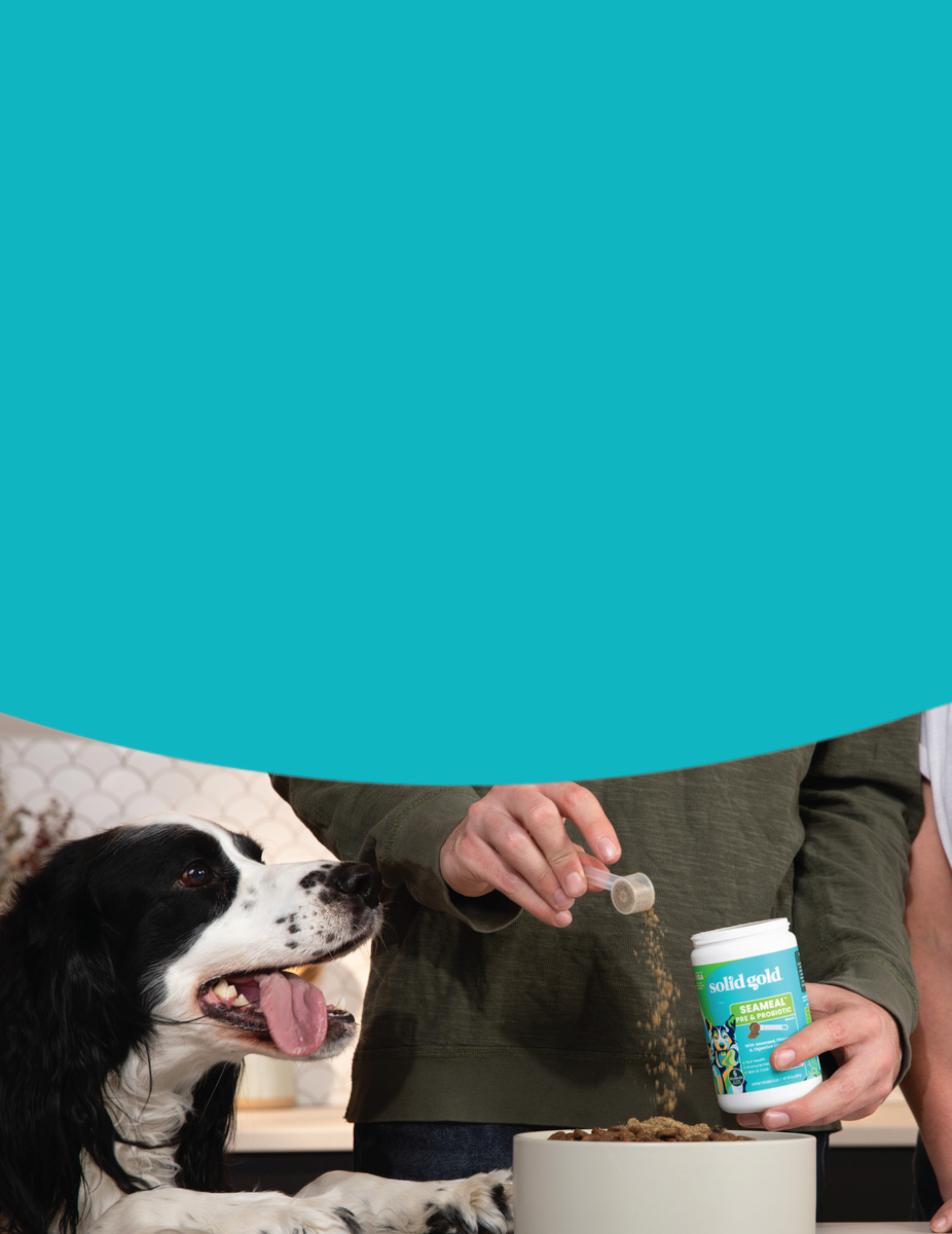 Person pouring pet food into a bowl with a dog watching, against a teal background