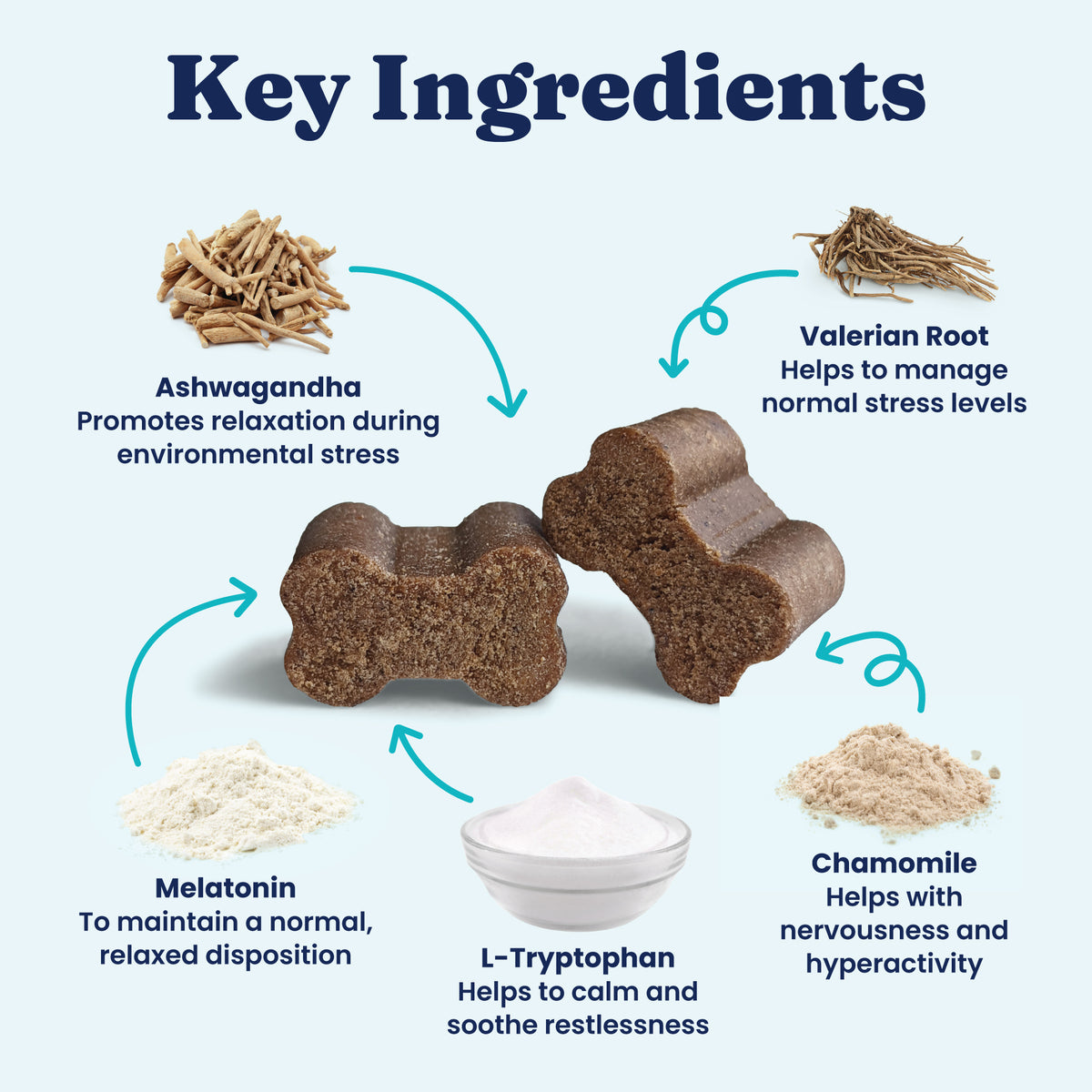 Key ingredients for calming dog chews include ashwagandha, valerian root, melatonin, L-tryptophan, and chamomile.