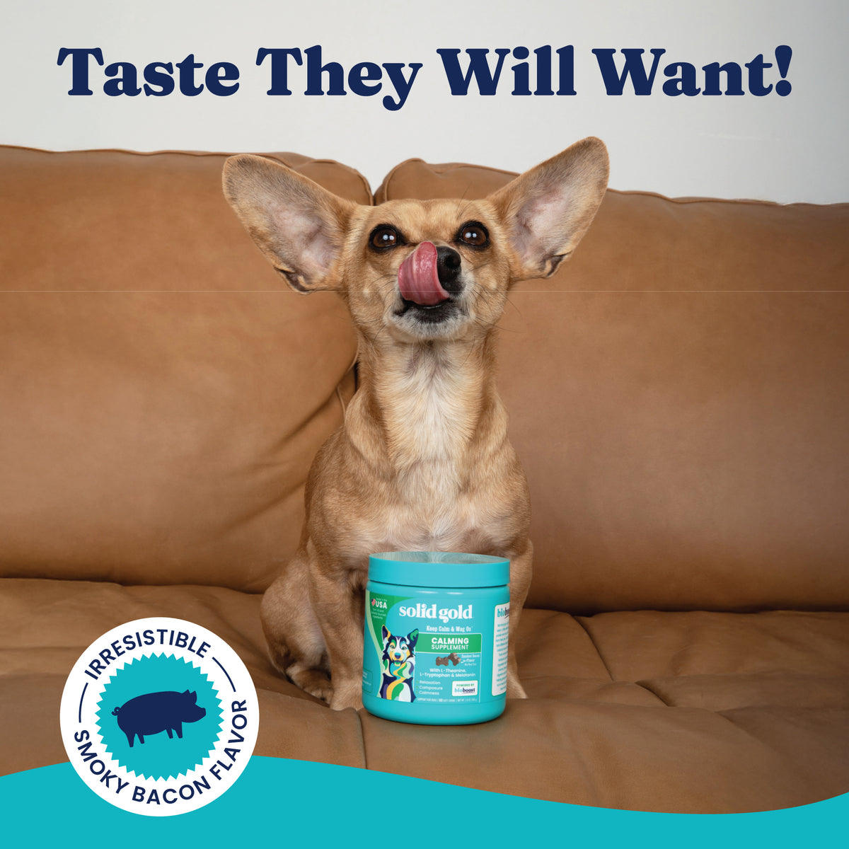 Dog sitting on a couch with its tongue out, next to a container of calming bacon chews.